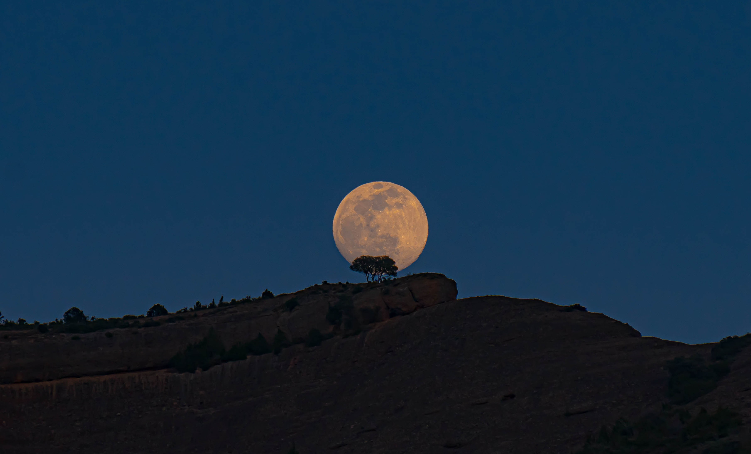 Bocetos. Alba del Norte Studio