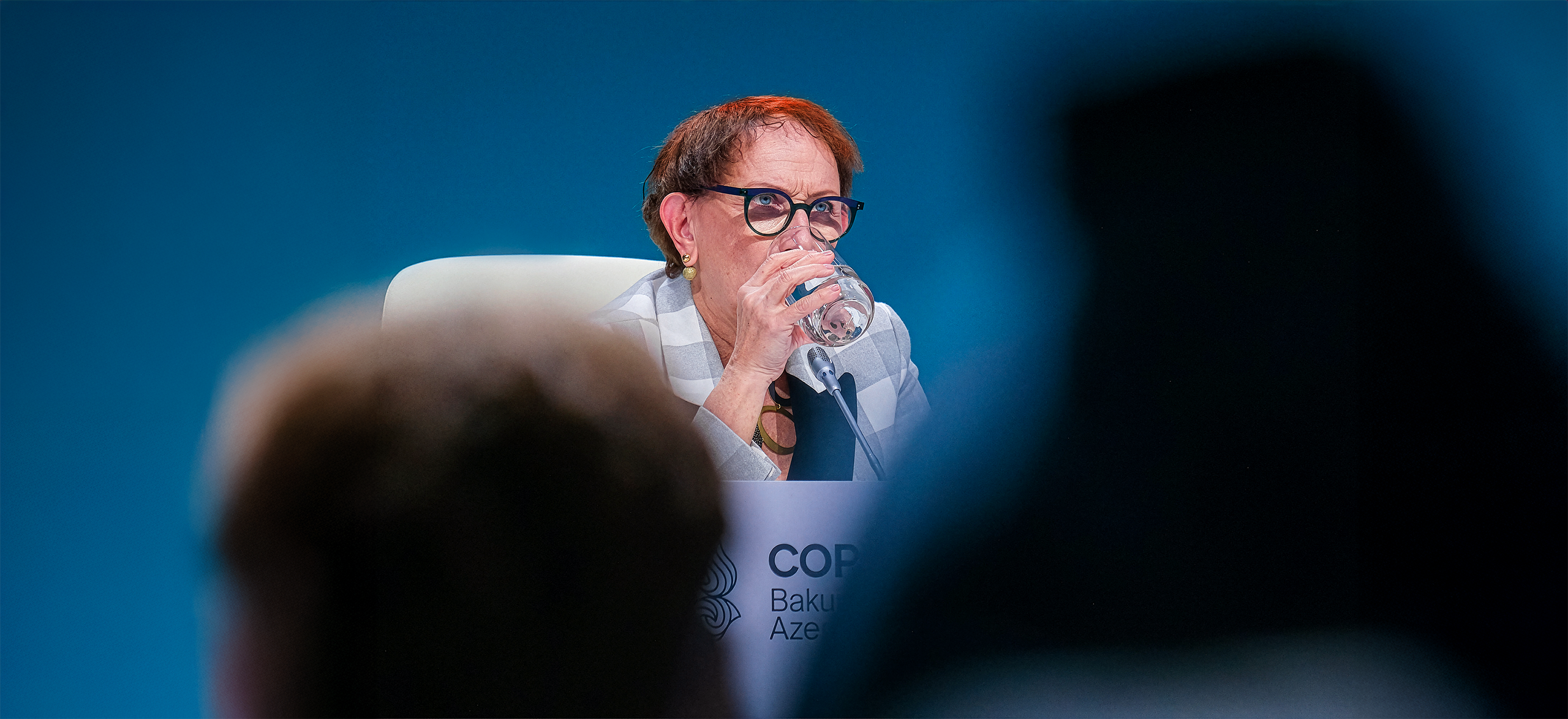 Bakıda Peşəkar Tədbir, Love Story və Təbiət Fotoqrafı — Elşən Baba