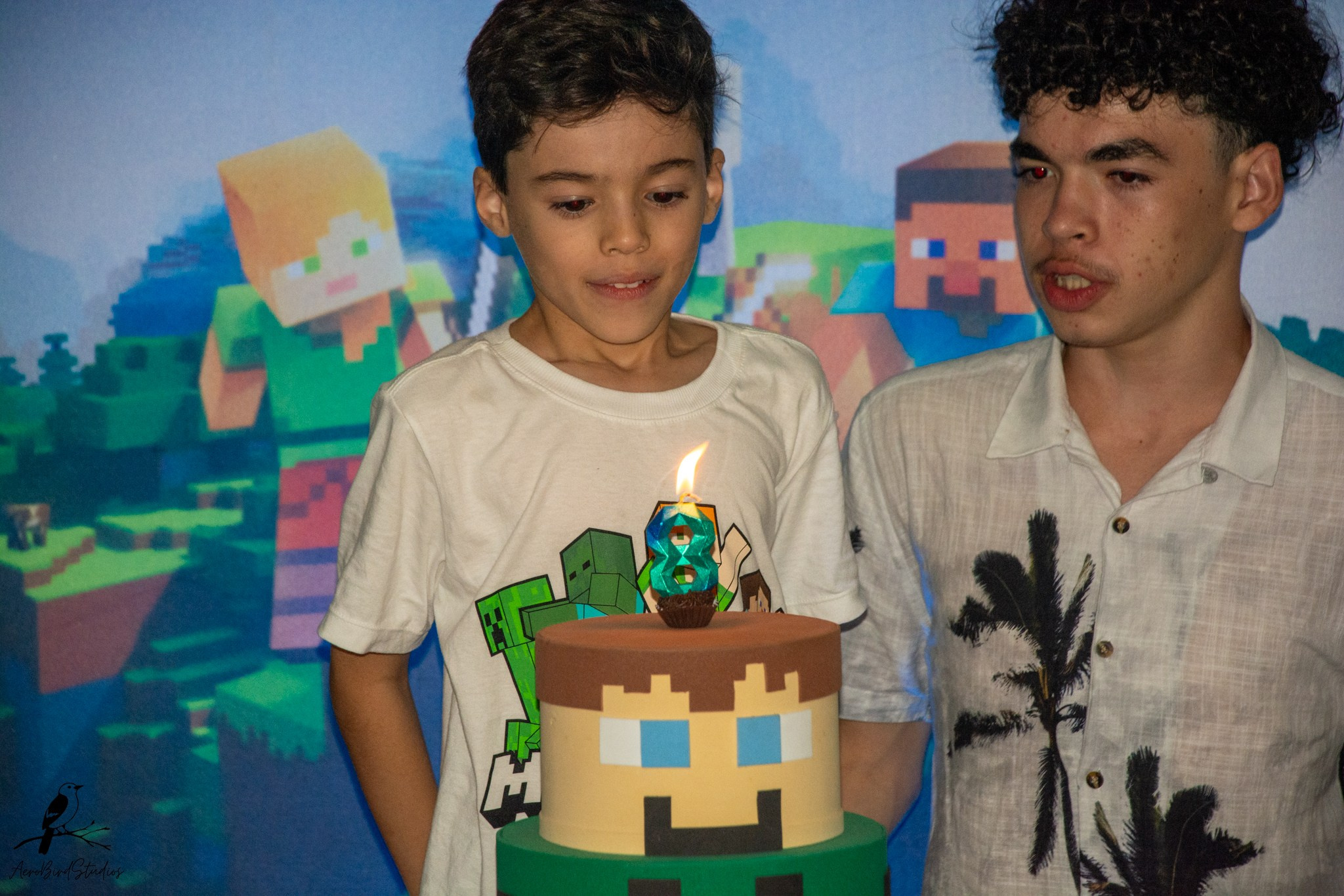 Leonardo 8 ano. AerobirdStudios