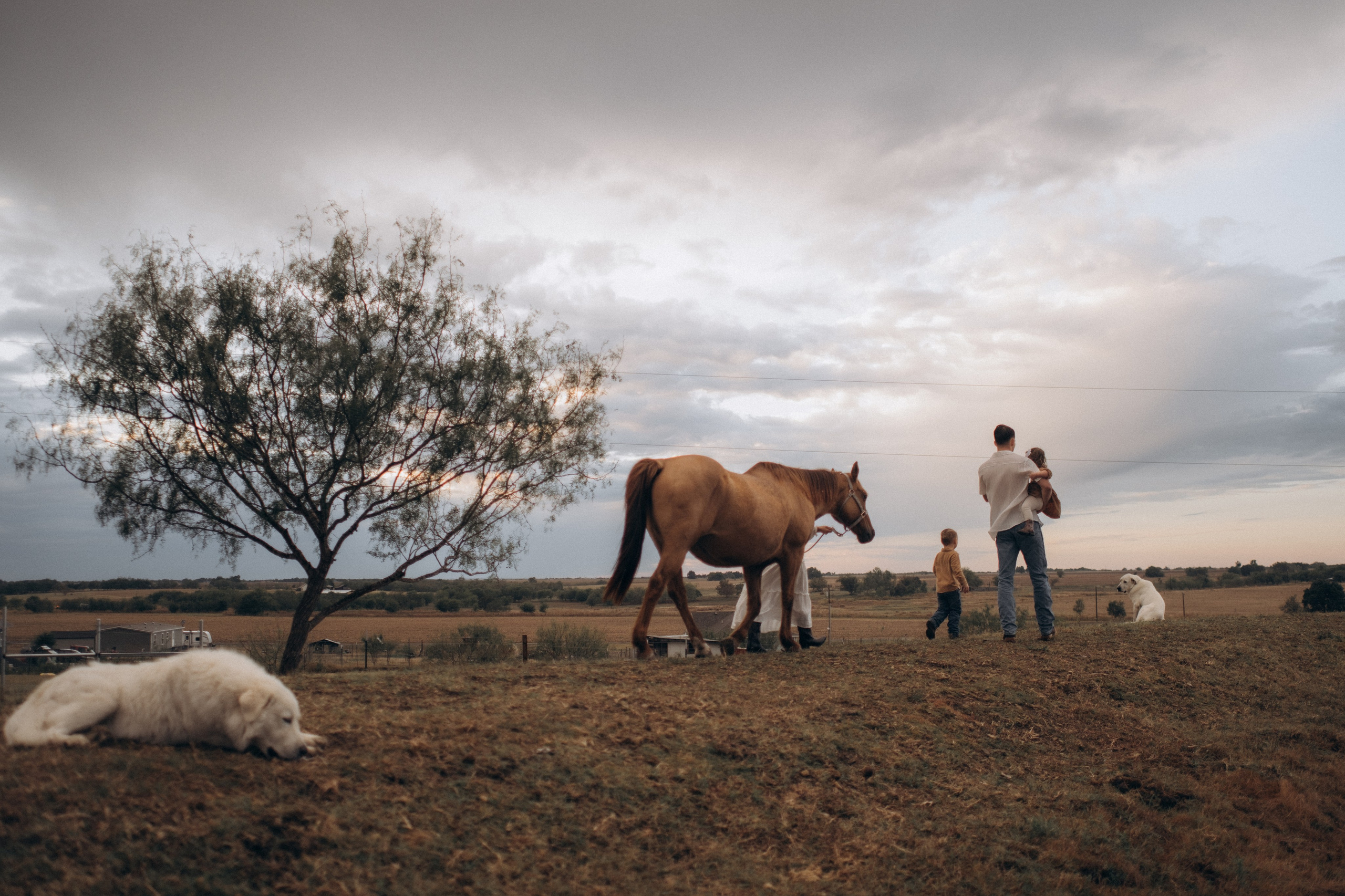 Rainy Day. Lens Captures Life