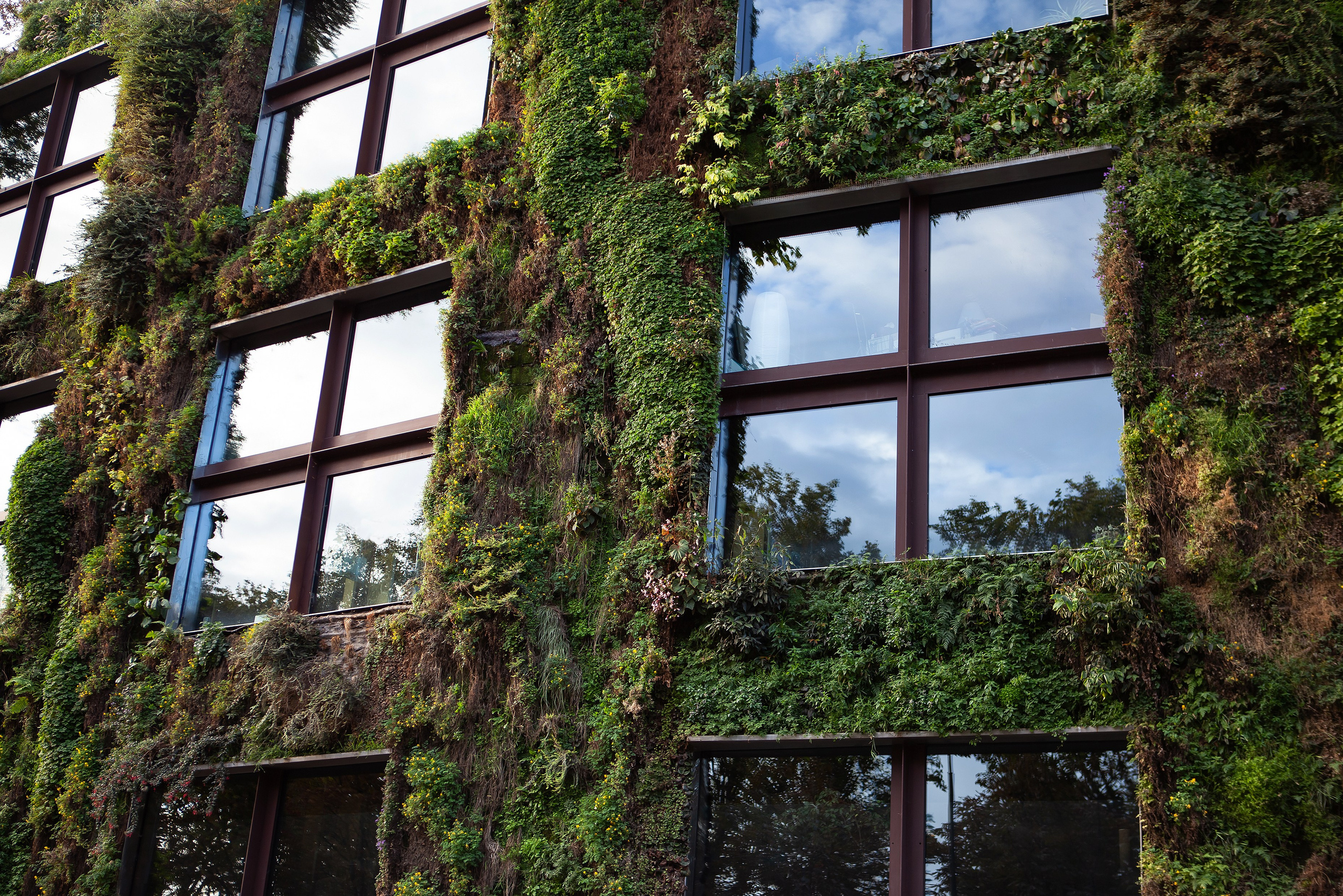 Μπαλκόνι με κρεμαστά φυτά. Geoponitikon-Όταν η Επιστήμη συναντά την Τέχνη στο Φυσικό Τοπίο!