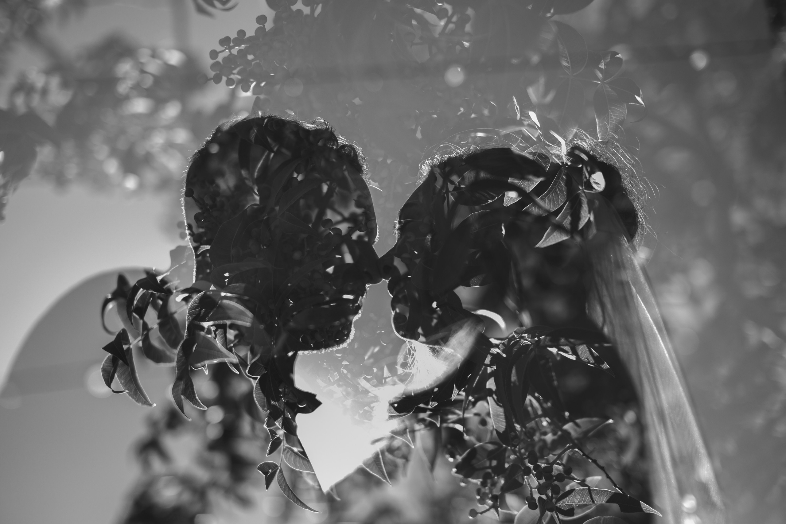 Georgia&Kyran. Wedding & elopement photographer Viktoriya Kravtsov. Las Vegas