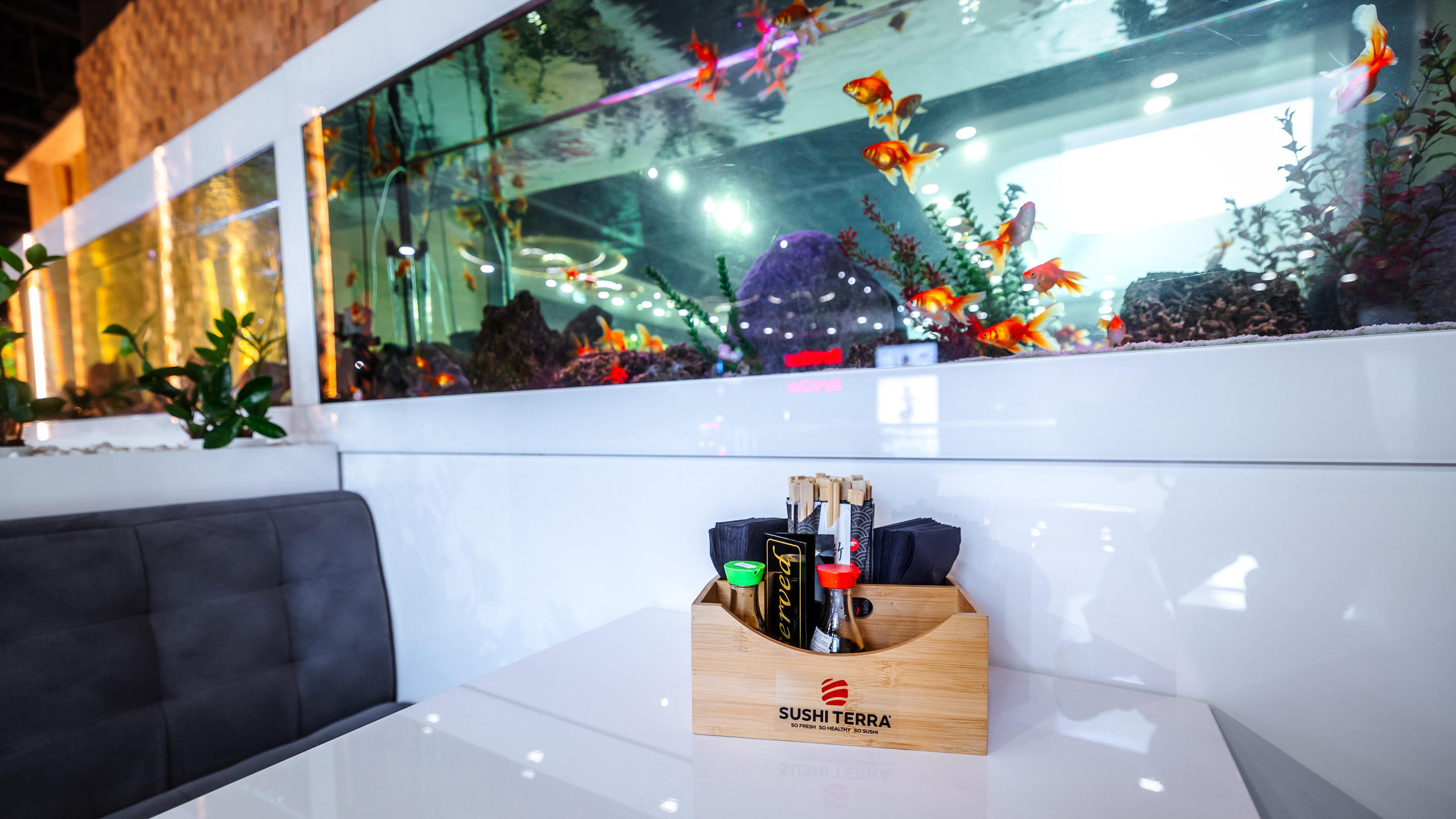 Sushi Terra. Marius Ciocan