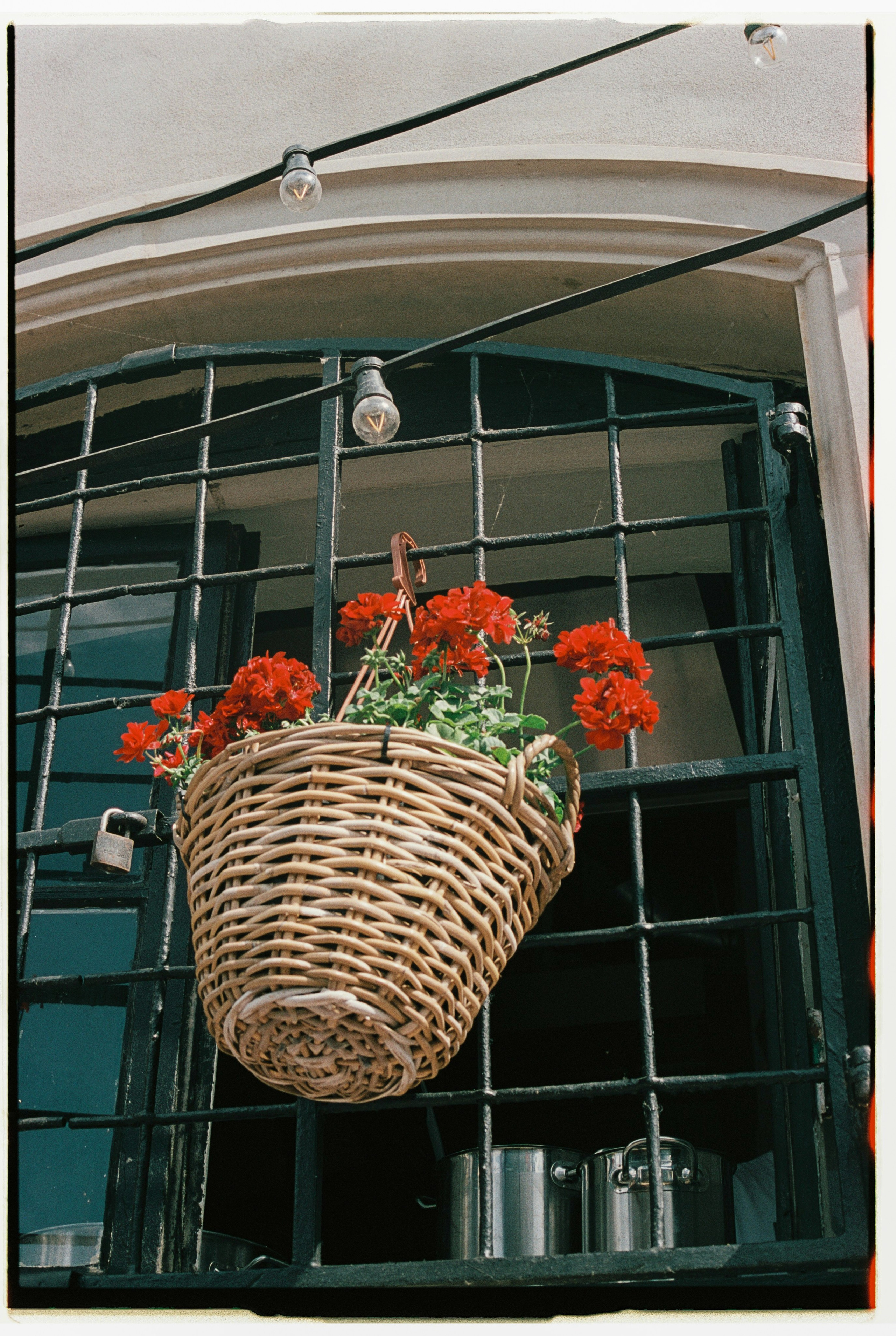 Madeira on film. Portrait photographer in Madeira — Marina Shtukina