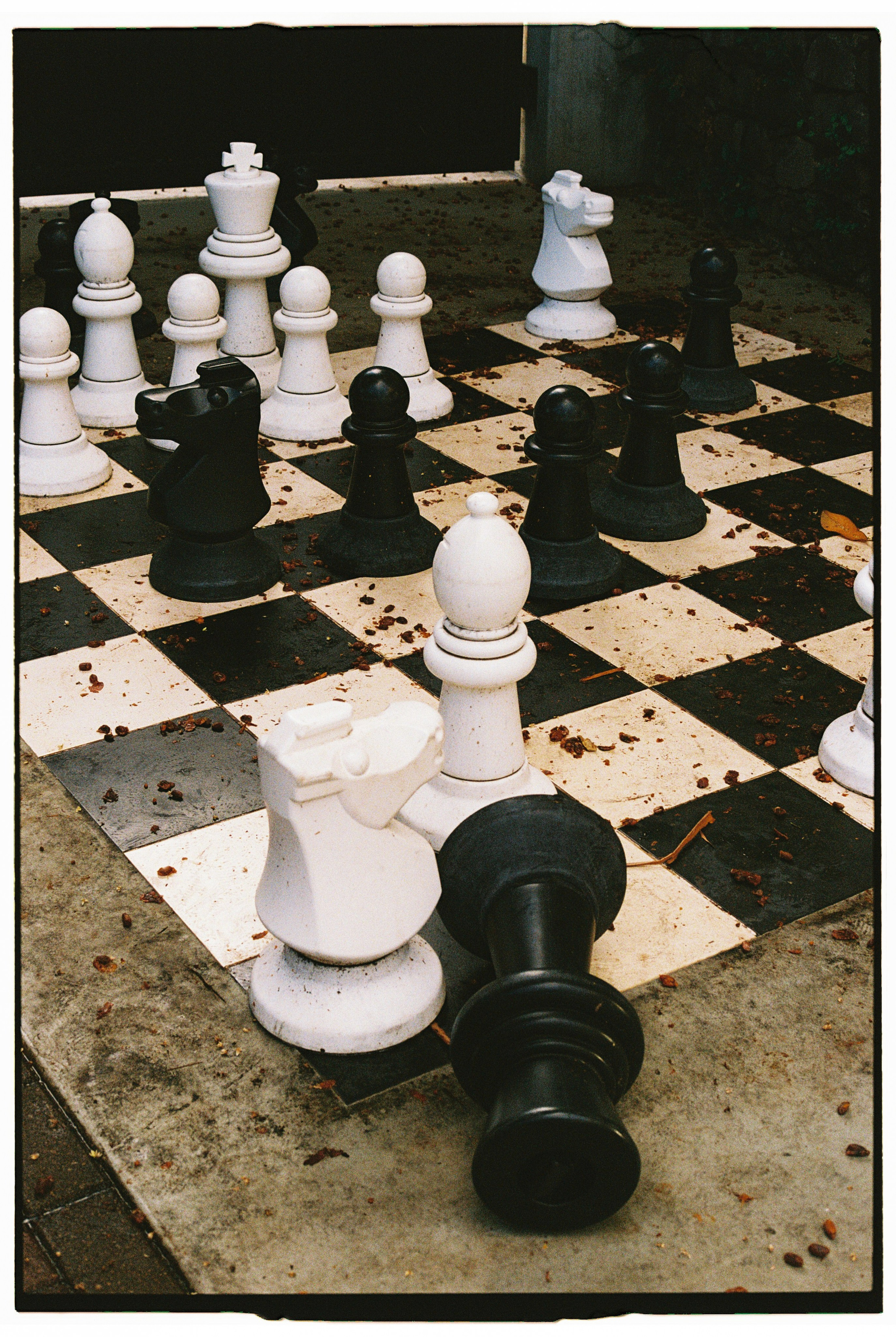 Madeira on film. Portrait photographer in Madeira — Marina Shtukina