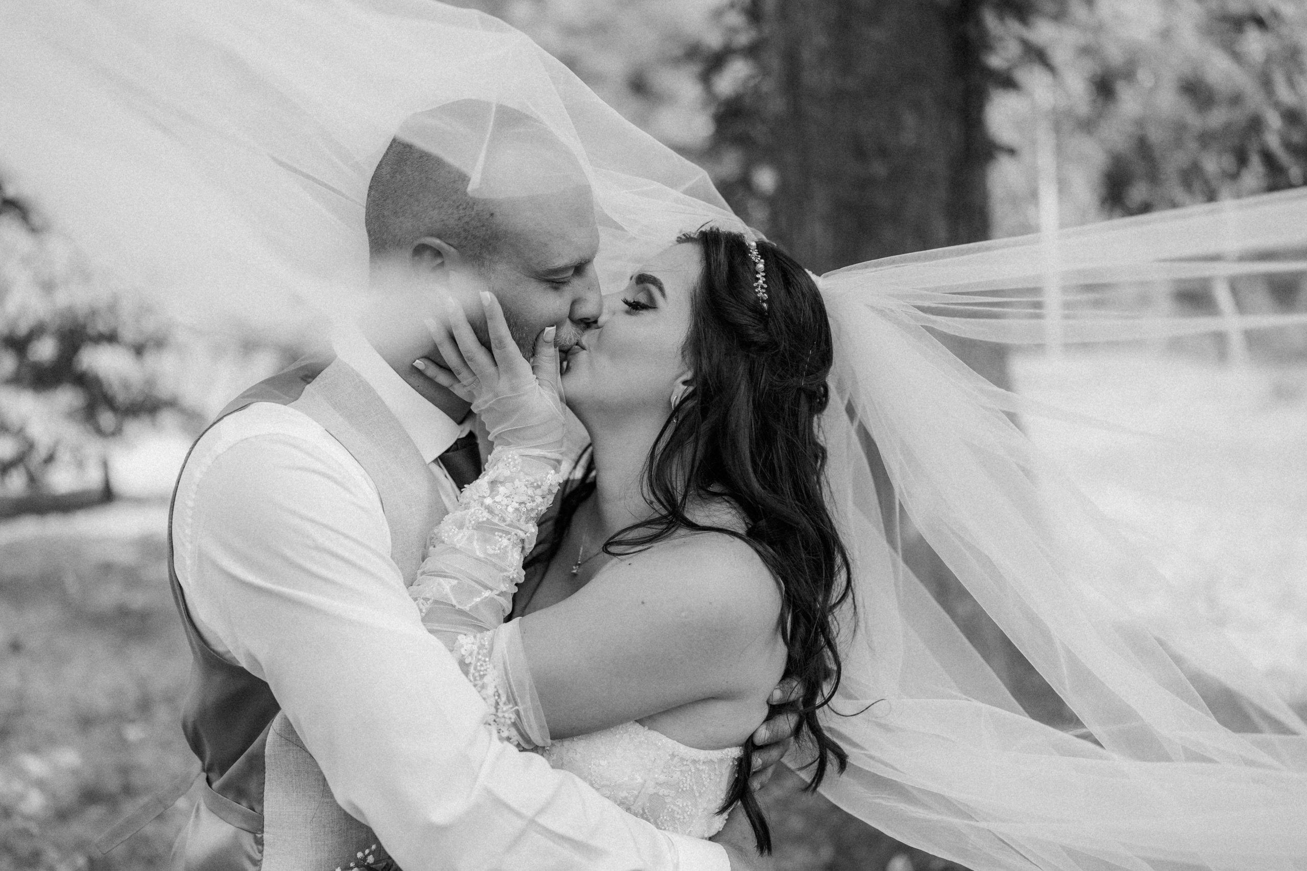 Alexandar weddings: Home