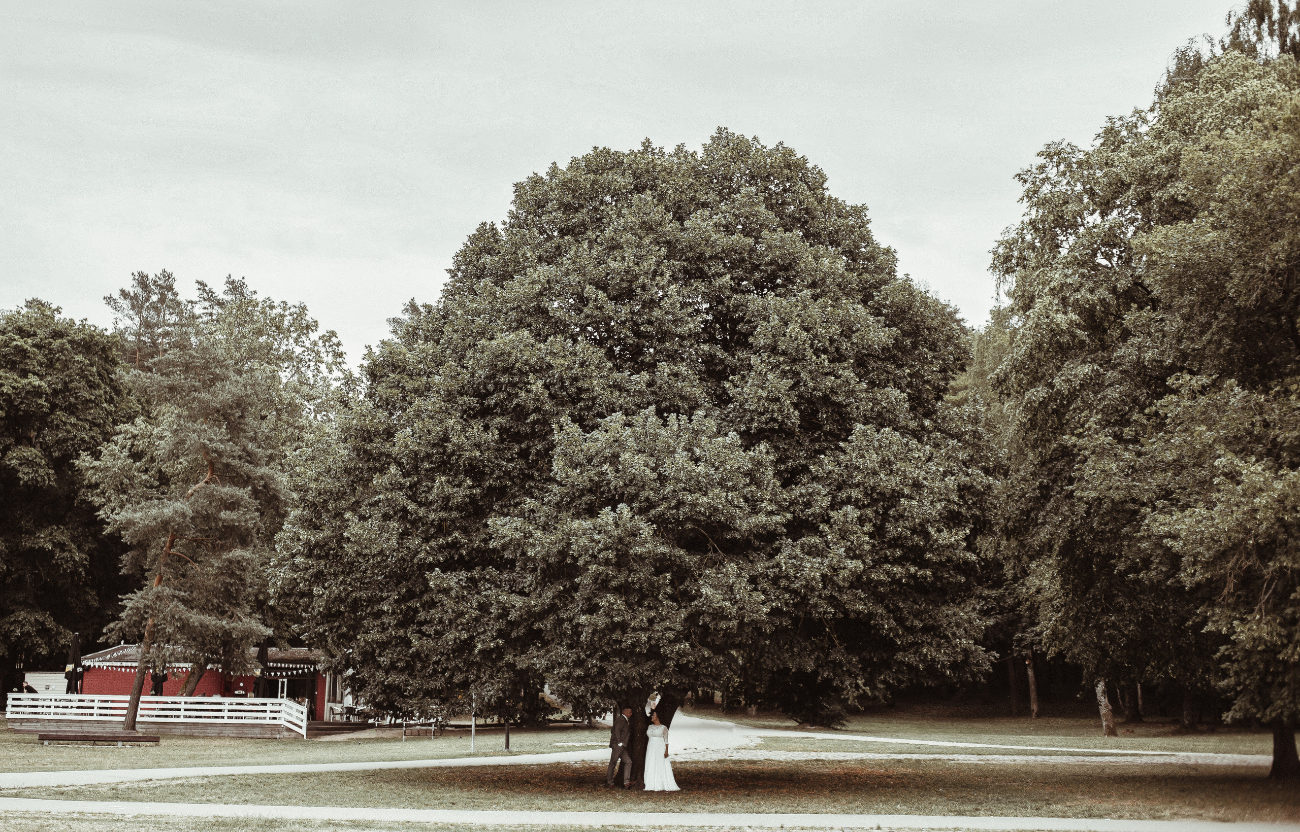 Ginte / Jevgenij. Wedding and family photographer in Lithuania — Yvanessa Gelvano