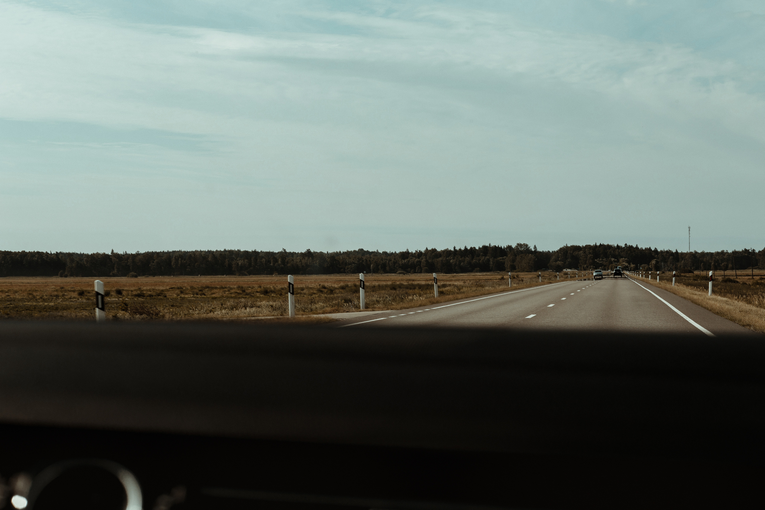 Agne / Edvard. Wedding and family photographer in Lithuania — Yvanessa Gelvano