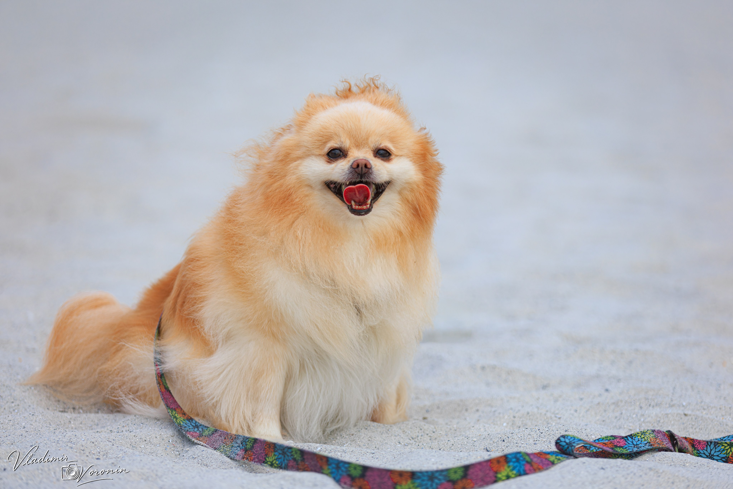 St. Augustine Beach. Photographer St. Augustine