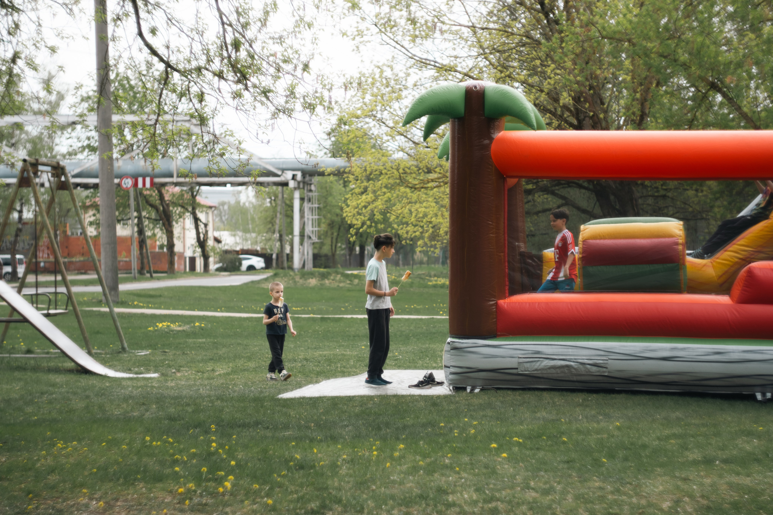 REPORTĀŽAS. Ziedinfoto