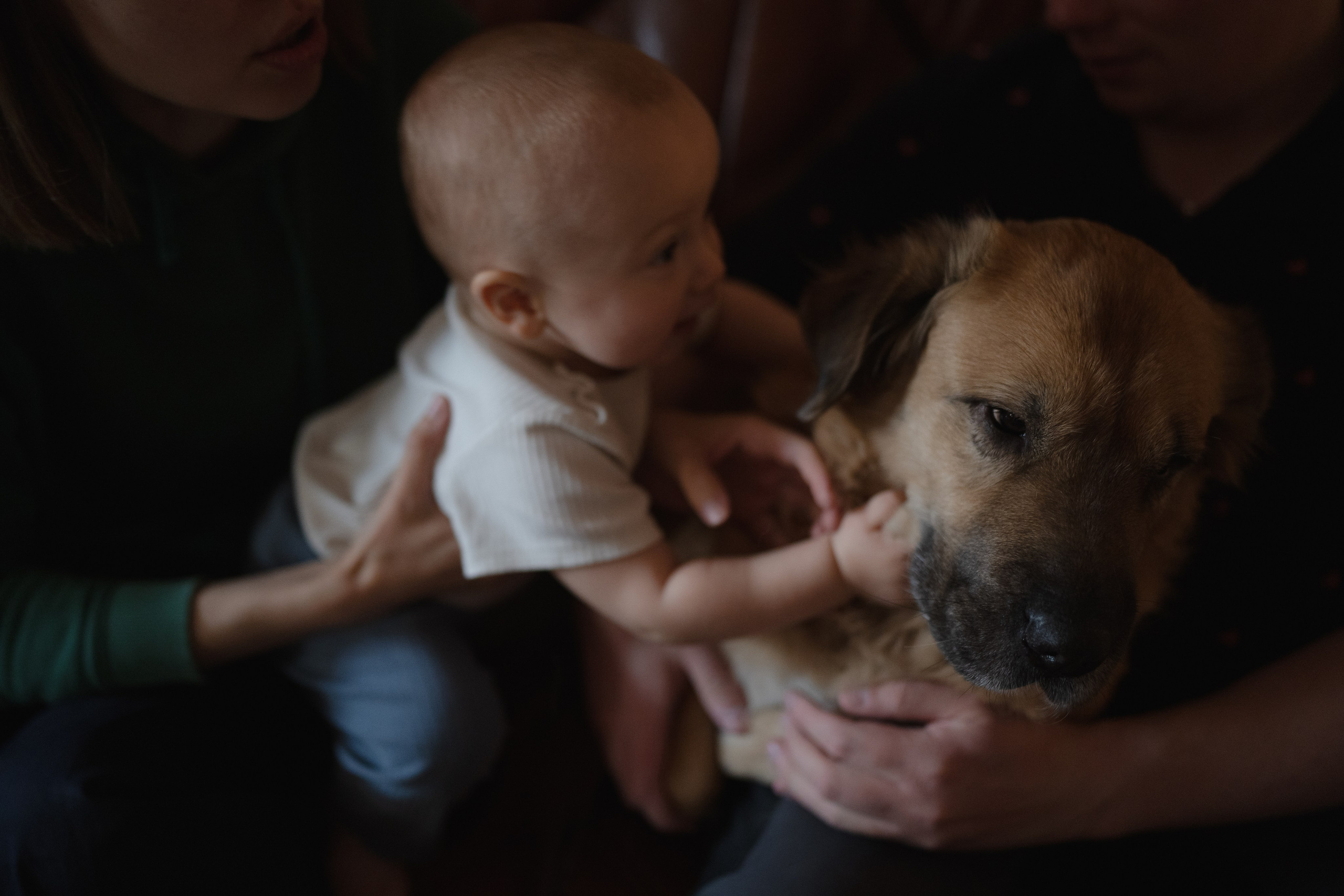 Alena, Vlad and their son Lev. Main