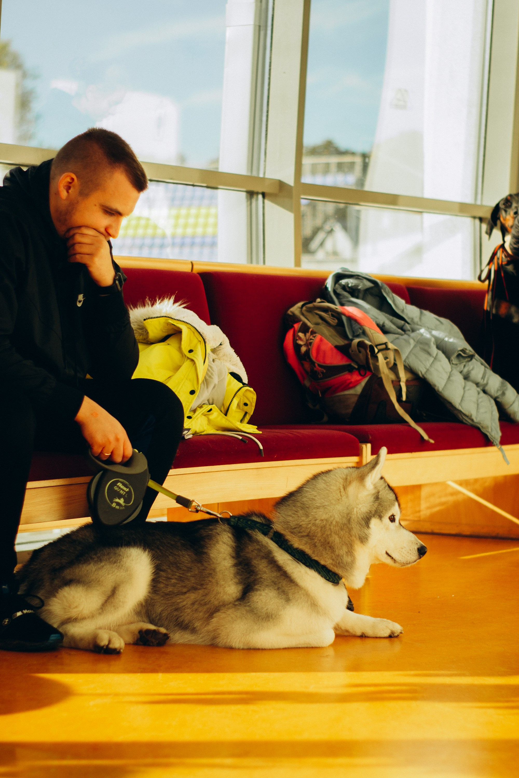 Rakvere Dog Show. Kat Laisaar — Pet photographer in Tallinn