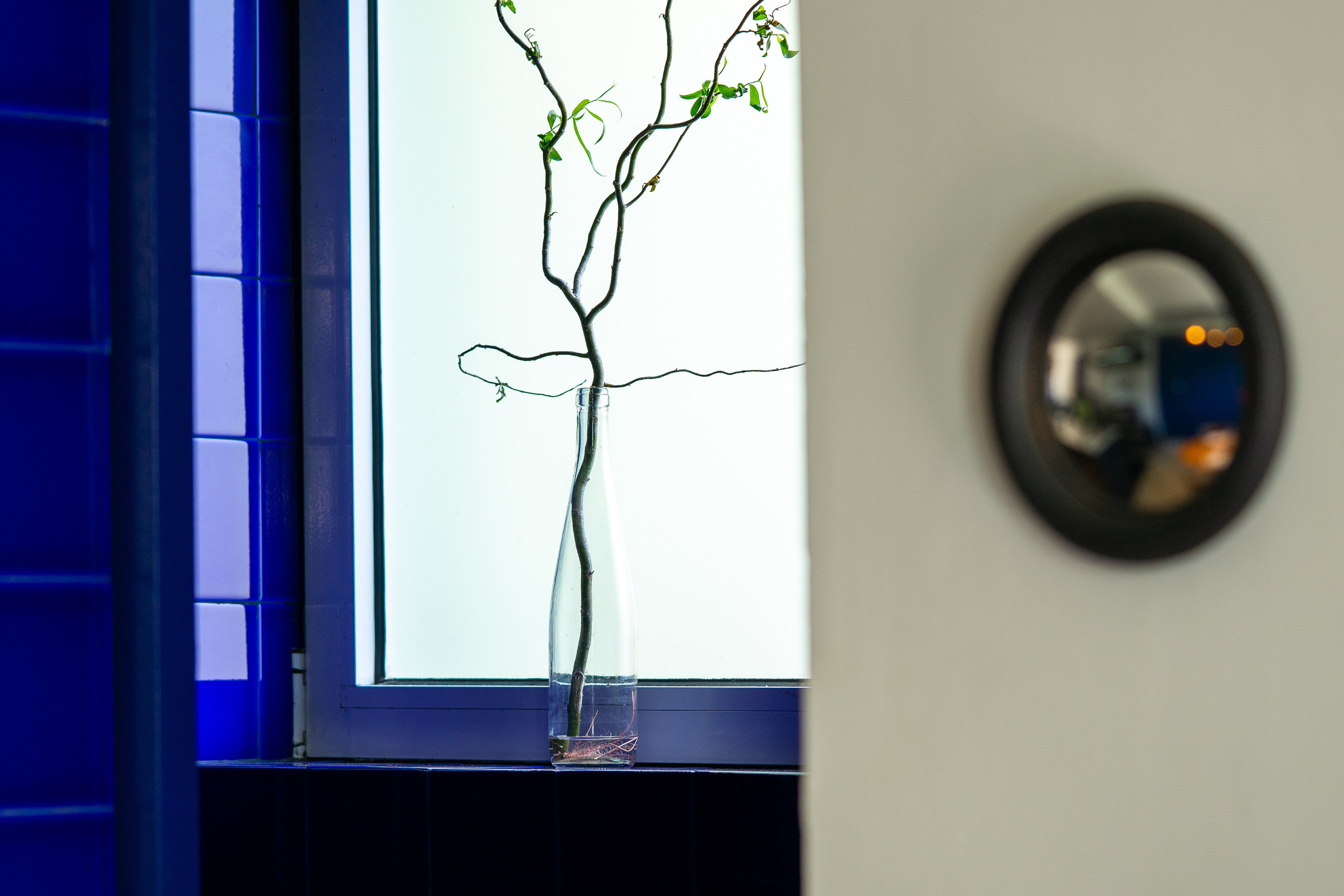 Borboleta. Мария Шер. Профессиональный фотограф в городе Порту, Португалия