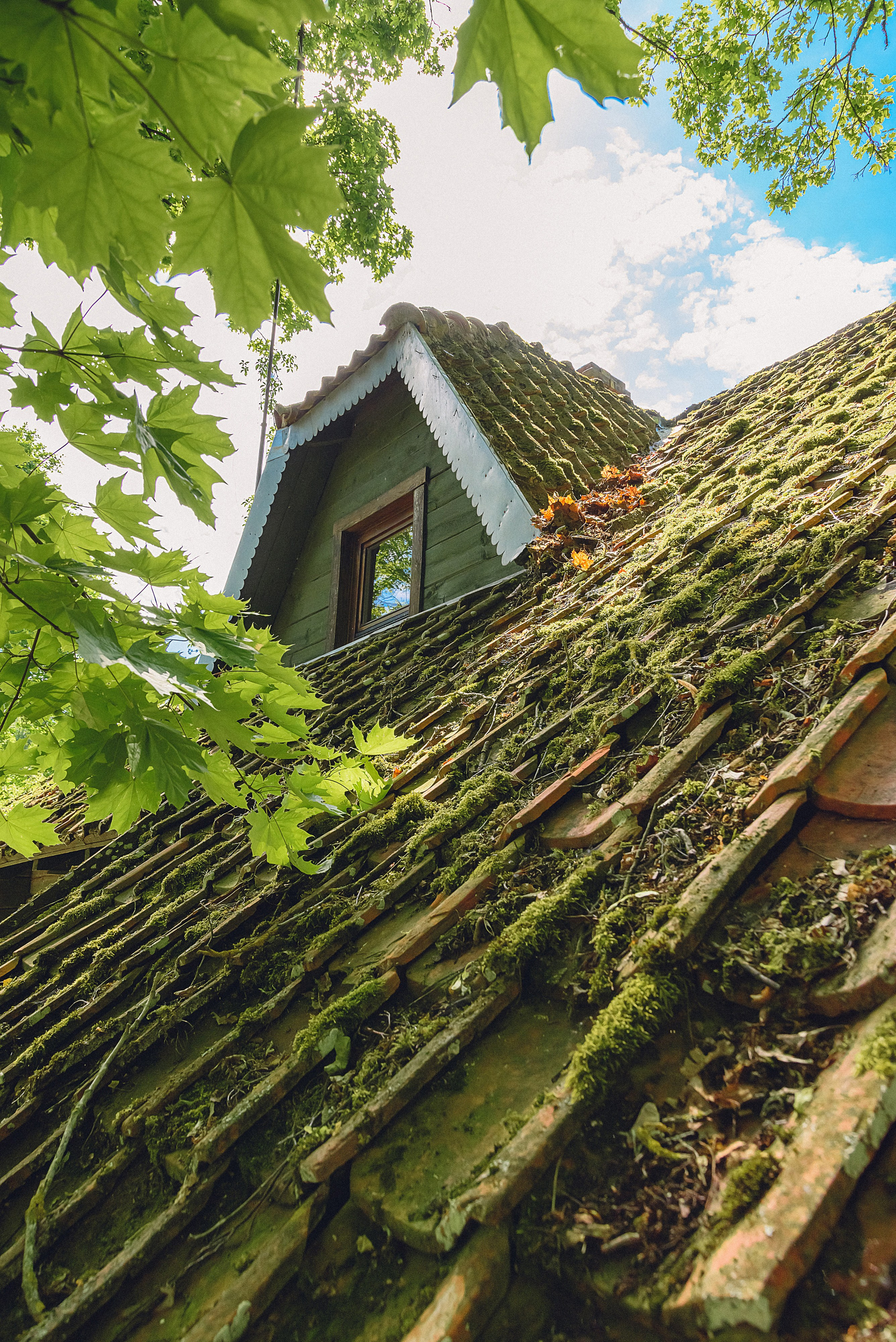 Atpūtas Komplekss “Miķelis”. Fotogrāfs Rīgā. Gīmenes, individuālās un dažādu produktu fotosesijas