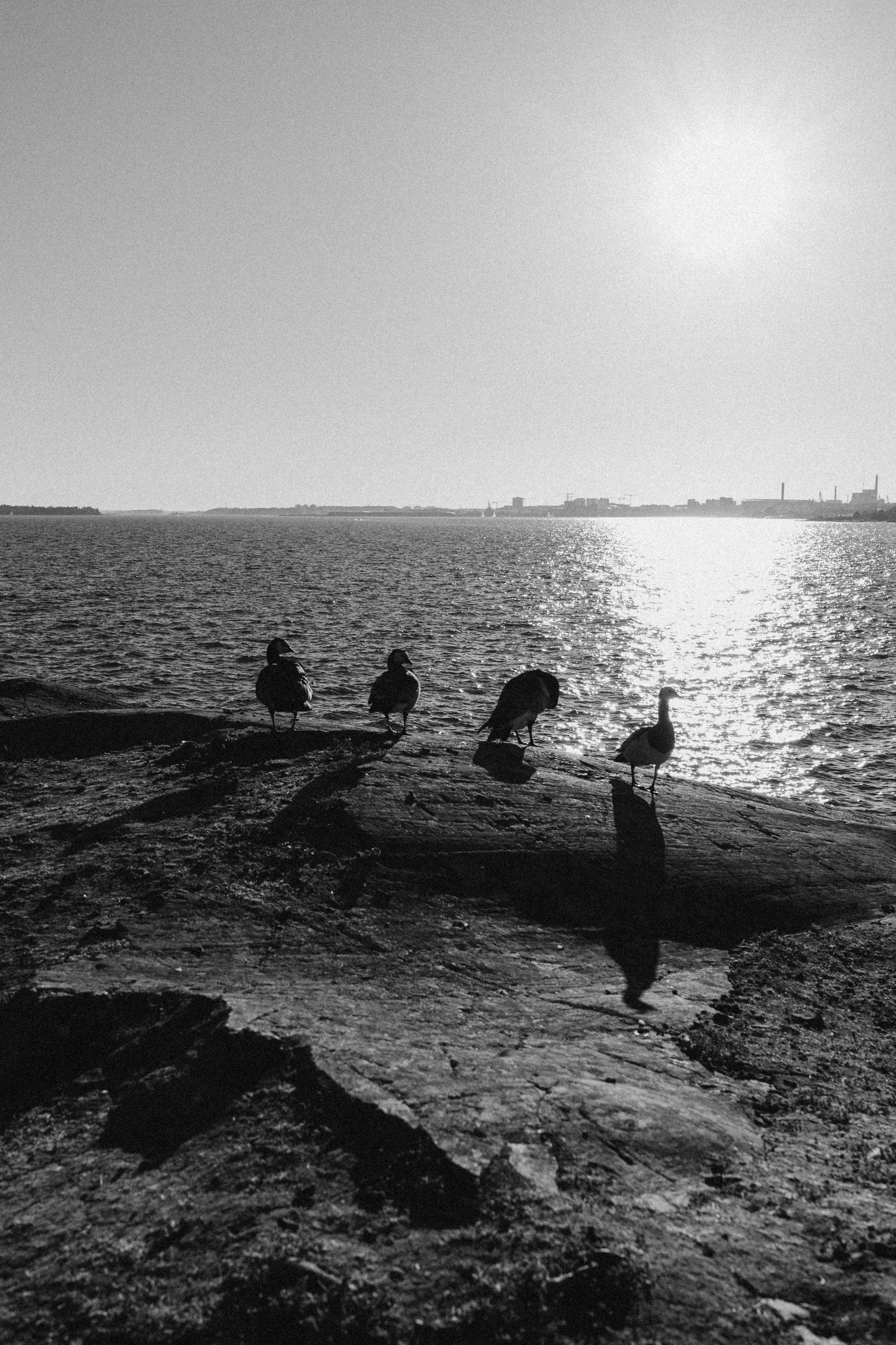 Beloved. Wedding and potrait photographer in Helsinki Vickan O