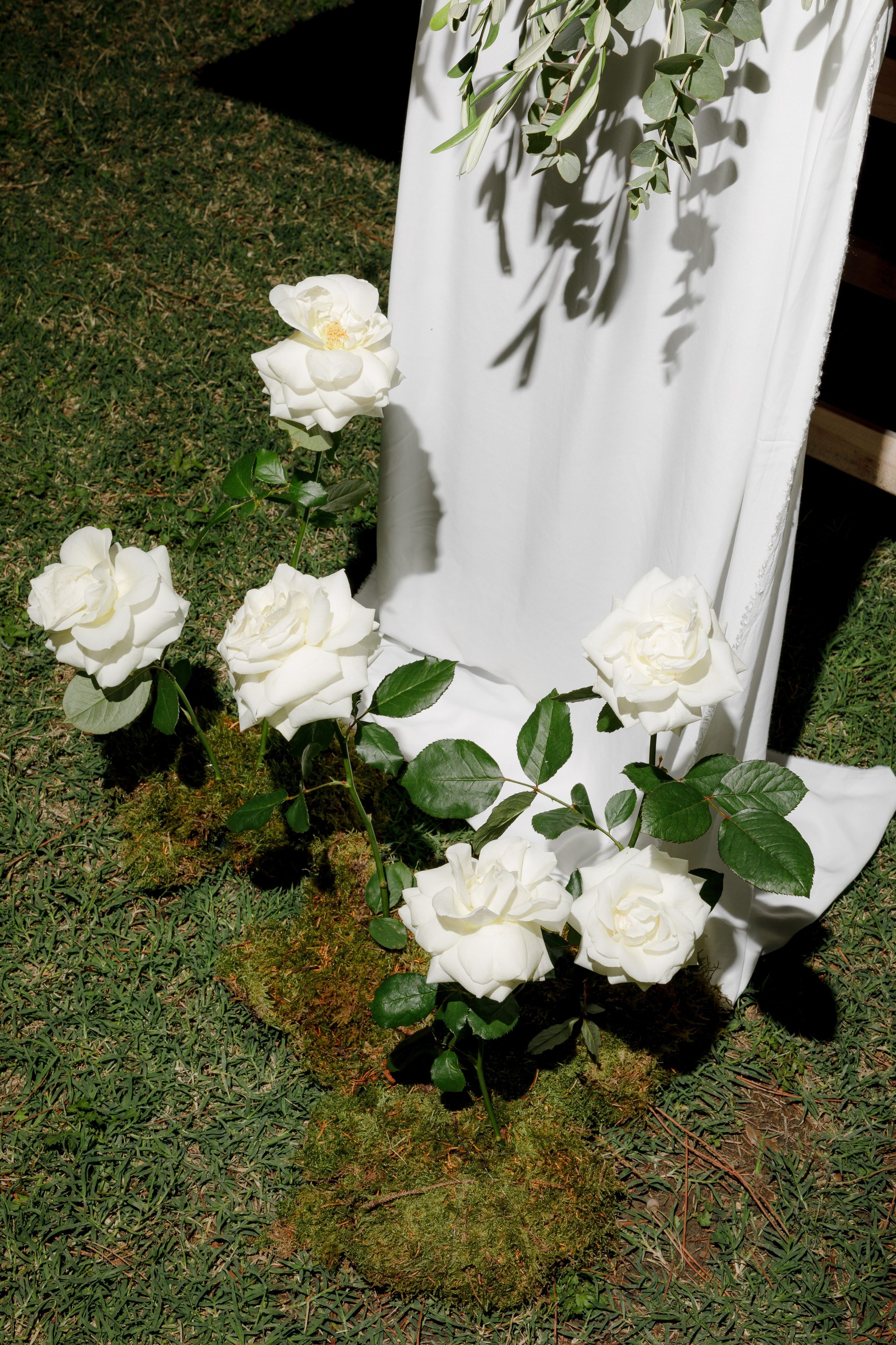 Dom&Ally. Весільний фотограф Вікторія Саврук