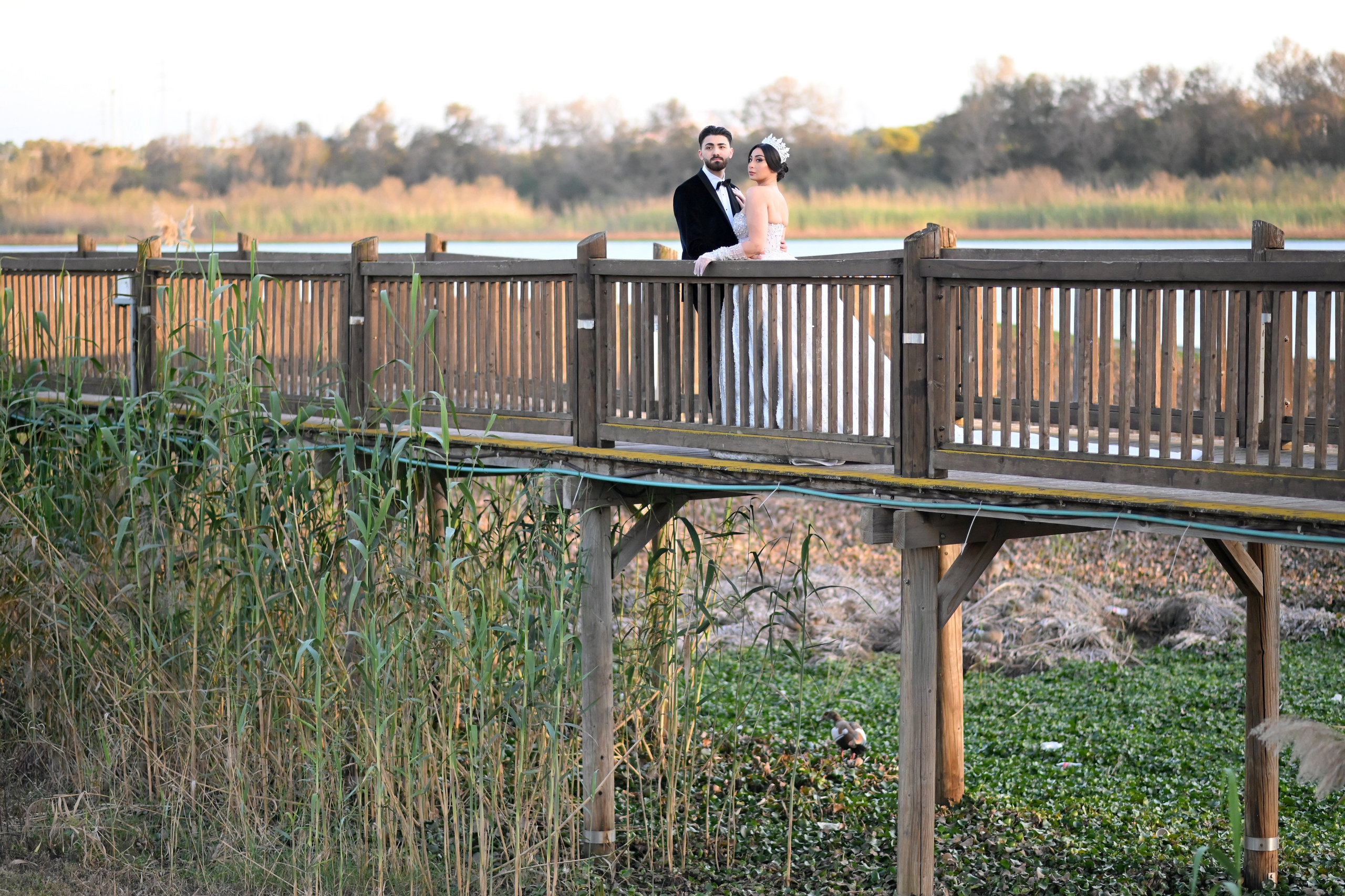 Aviel & Mishel. Wedding and events photographers Studio Shalom