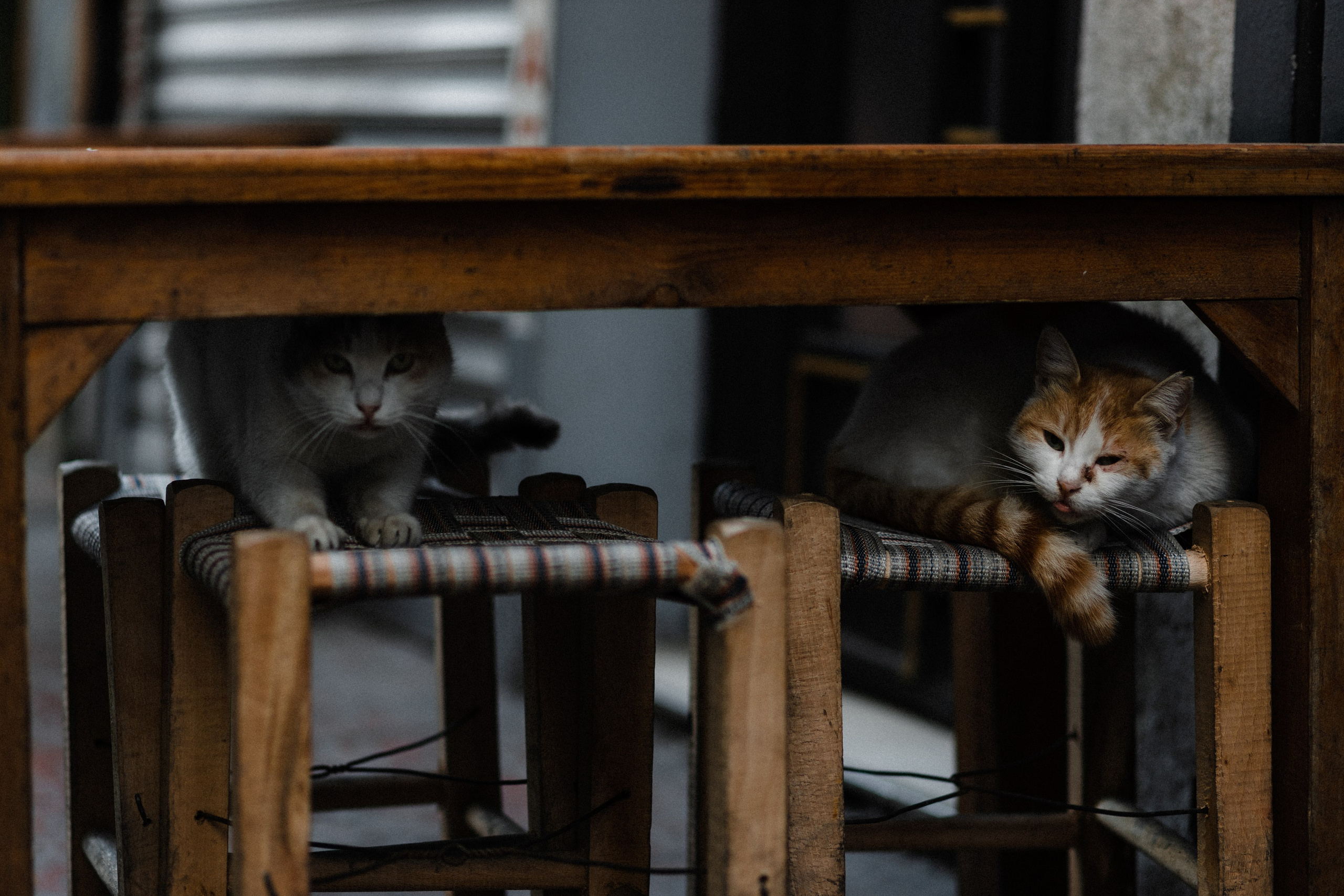 Стамбул. Фотопрогулки в Стамбуле