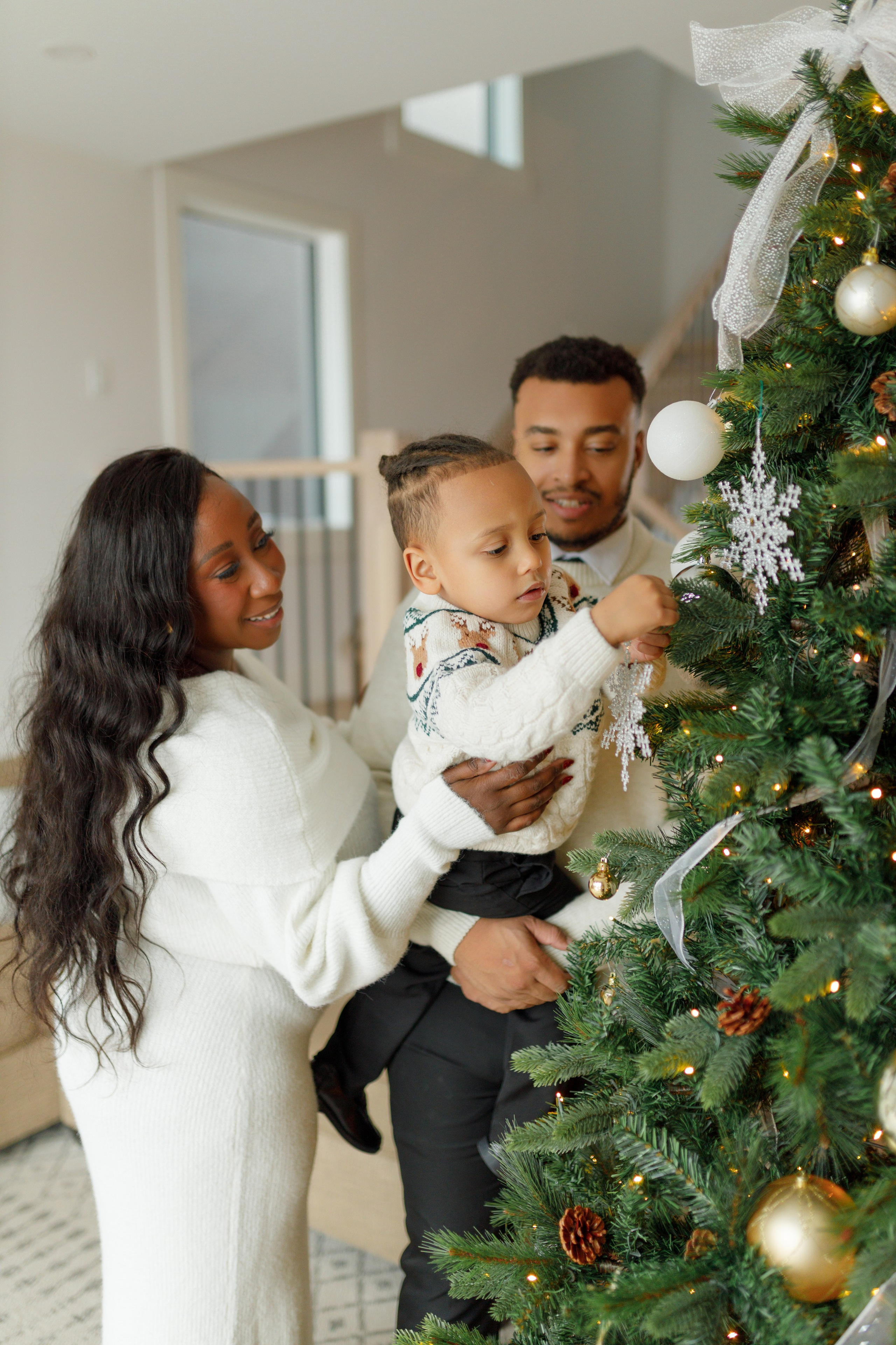 Christmas minis 2025. Home