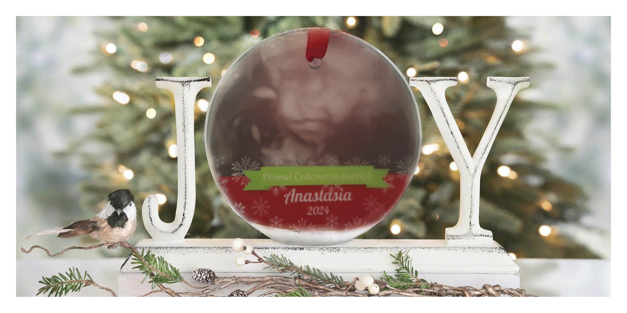 Album Craciun Francesca