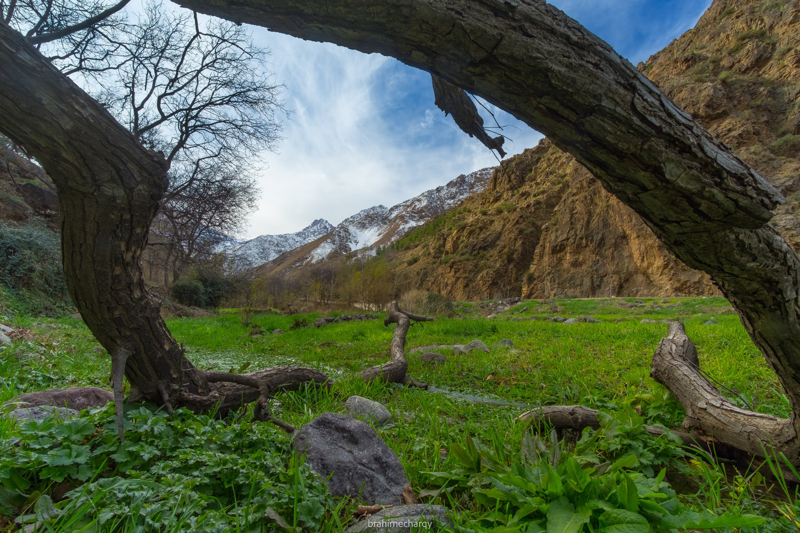 Фото. Брахим — фотограф