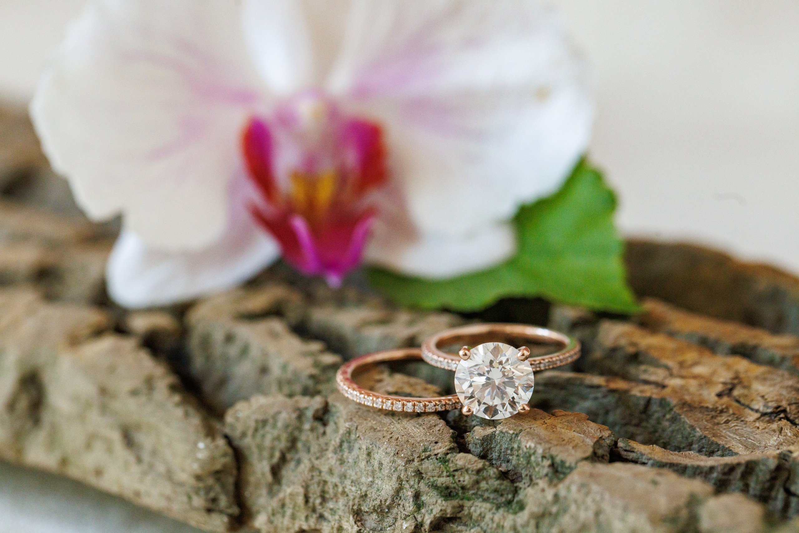 Agata & Eddie. Wedding Photo & Video