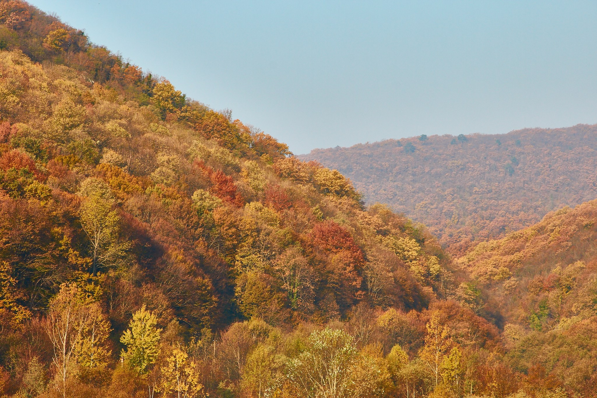 Toamna pe calea ferată Oravița-Anina, jud. Caraș-Severin. Pagina principală
