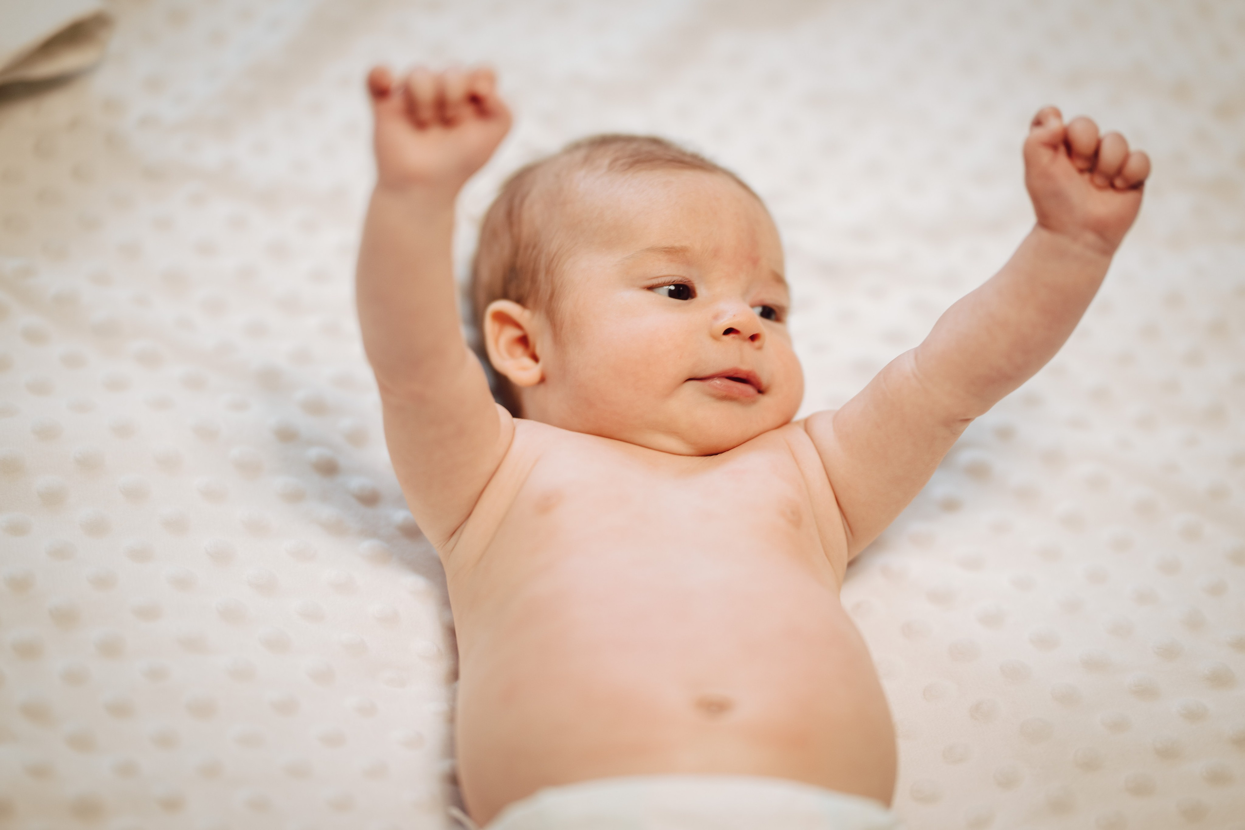 Selim. The Catalins Events — Wedding Photography & Videography