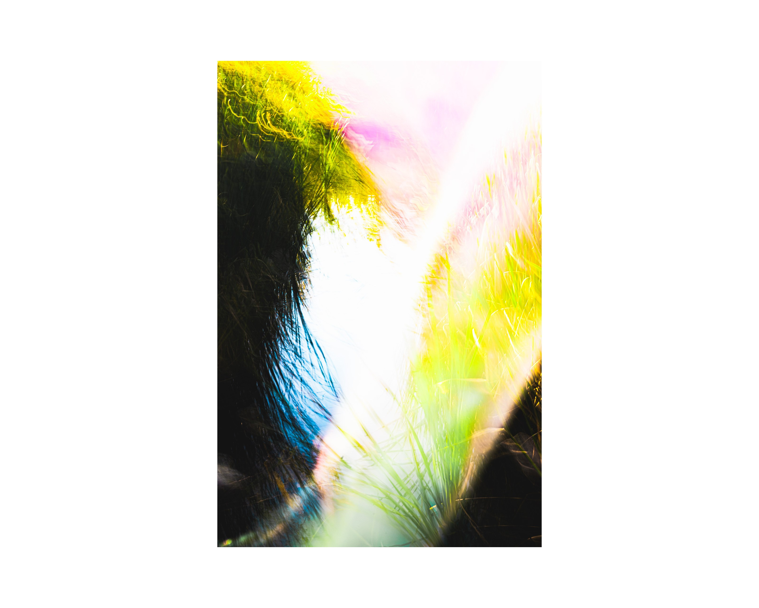 Nature from Exaggerated Worlds. Ekaterina Tsurkina-Appina Photography Canada