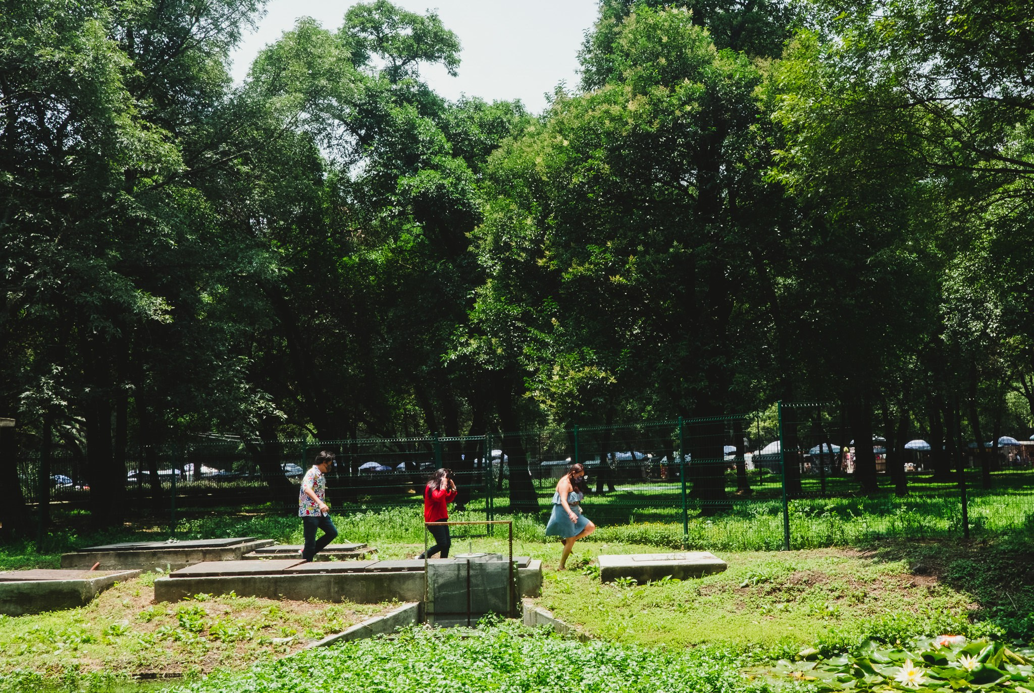 Fam. Farias. Wedding and family photographer in Mexico City