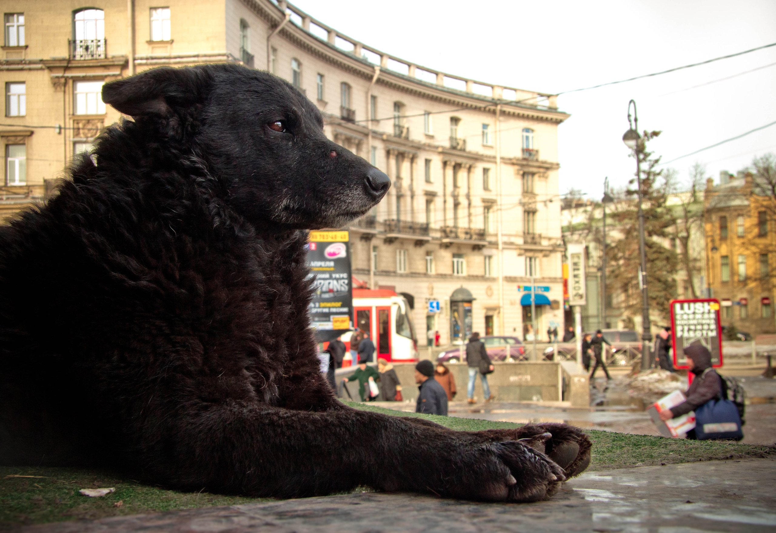 2012. Стрит-фотография, полная абсурда, идиотизма и красоты