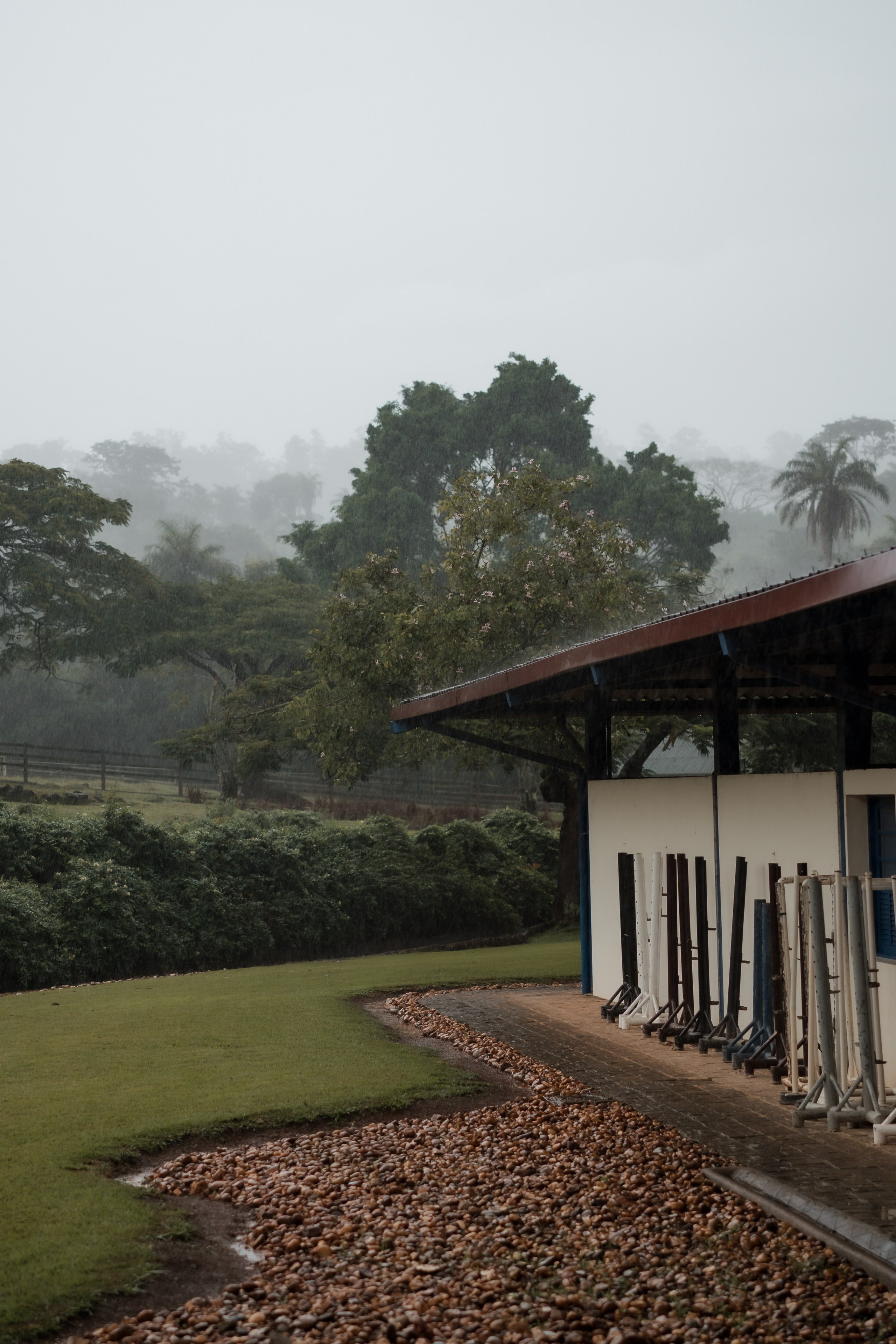 Ensaio Pré-Wedding com Cavalo em Minas Gerais | Sara e Rafael. Edu e Josi Fotografia de Casamento em Belo Horizonte | Fotos Naturais