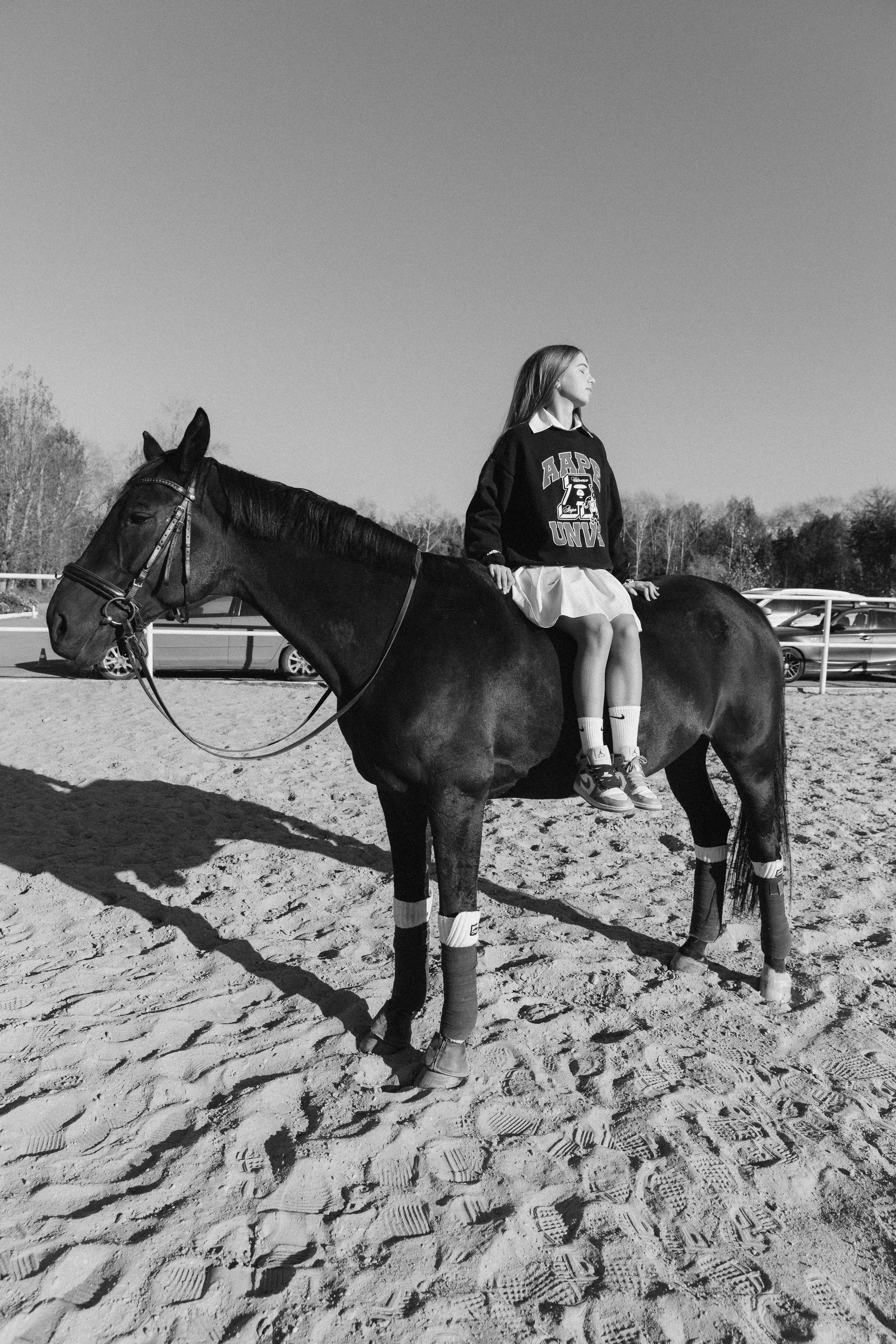 Horse & Rider Photoshoots in Boston & New England