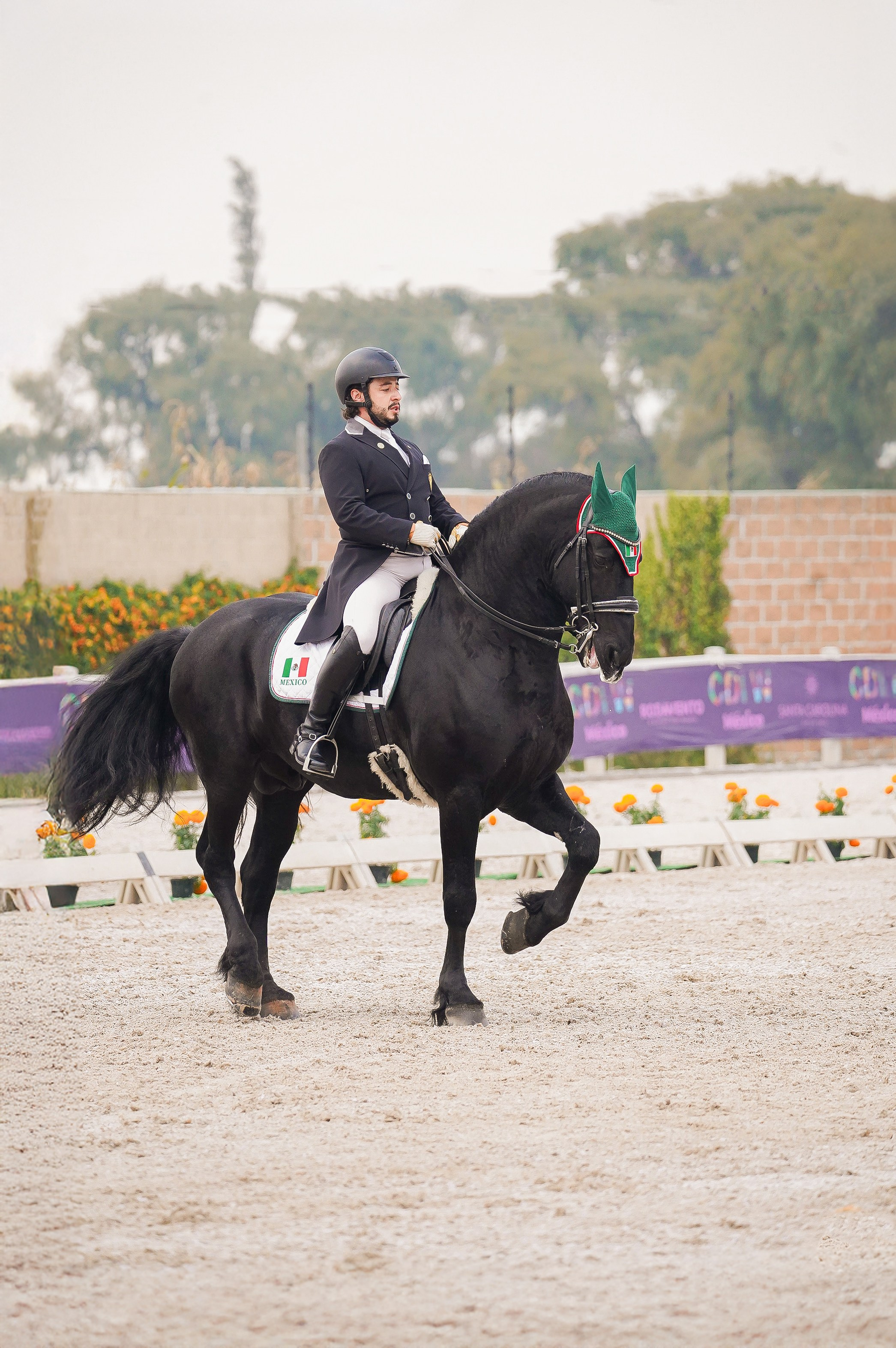 Sport events. Catrina Frolova photography