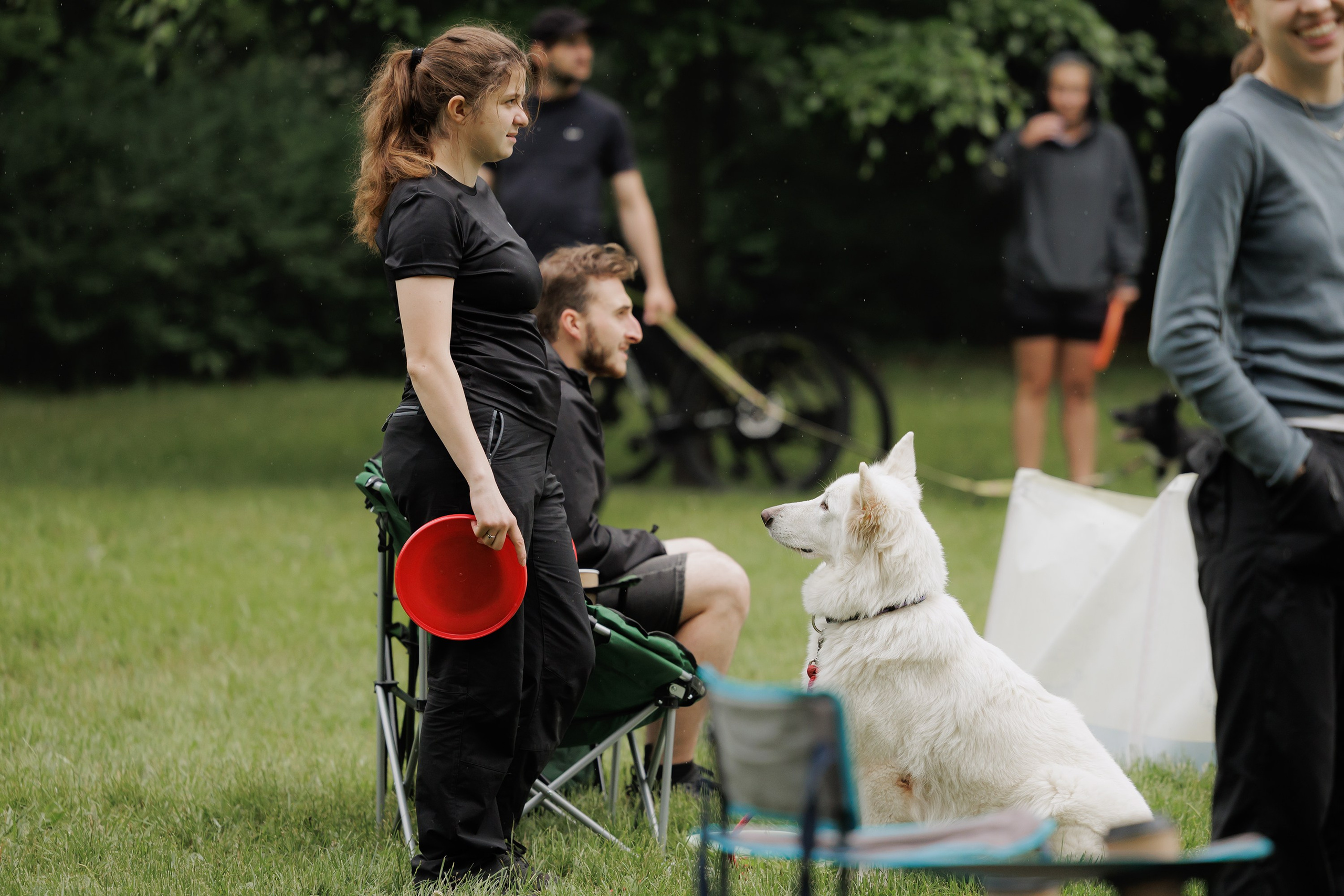 Latające psy, Wrocław'25. Kaja | fotograf psów we Wrocławiu