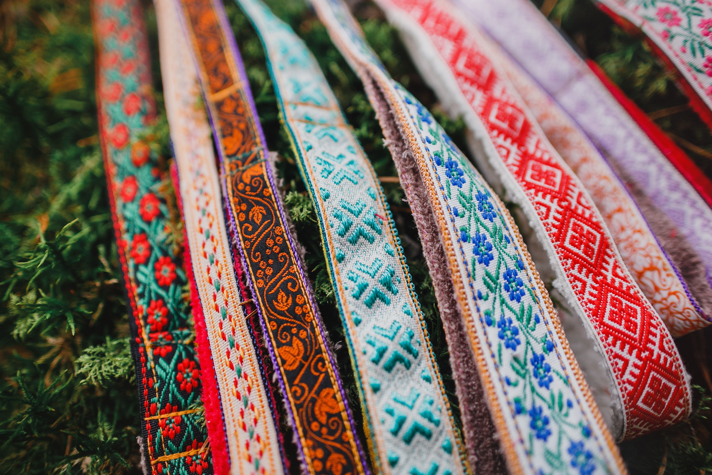 «Kasmach» dogs ammunition. Kaja | fotograf we Wrocławiu | ludzie i psy