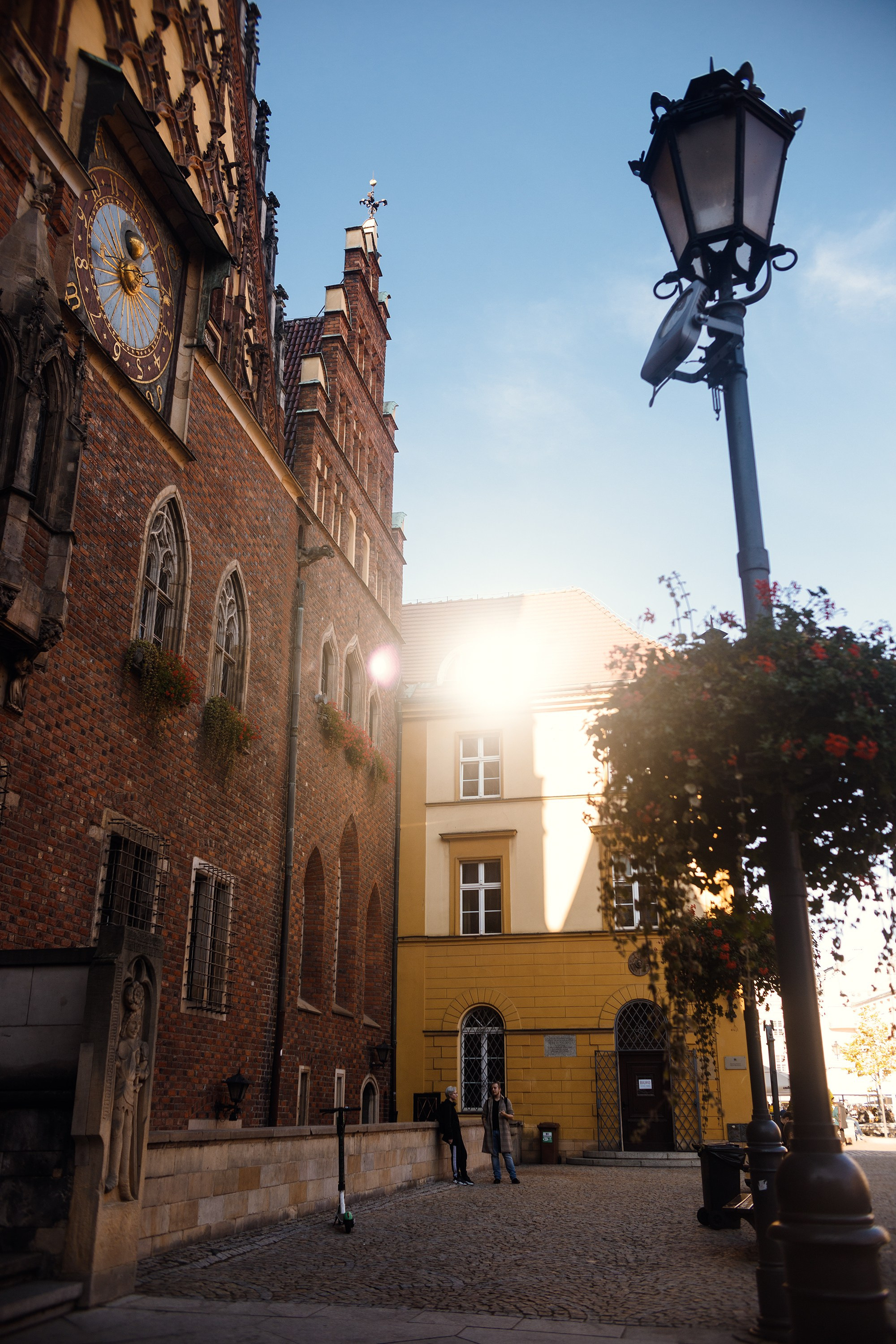 Wroclaw | the best ones. Kaja | fotograf psów we Wrocławiu