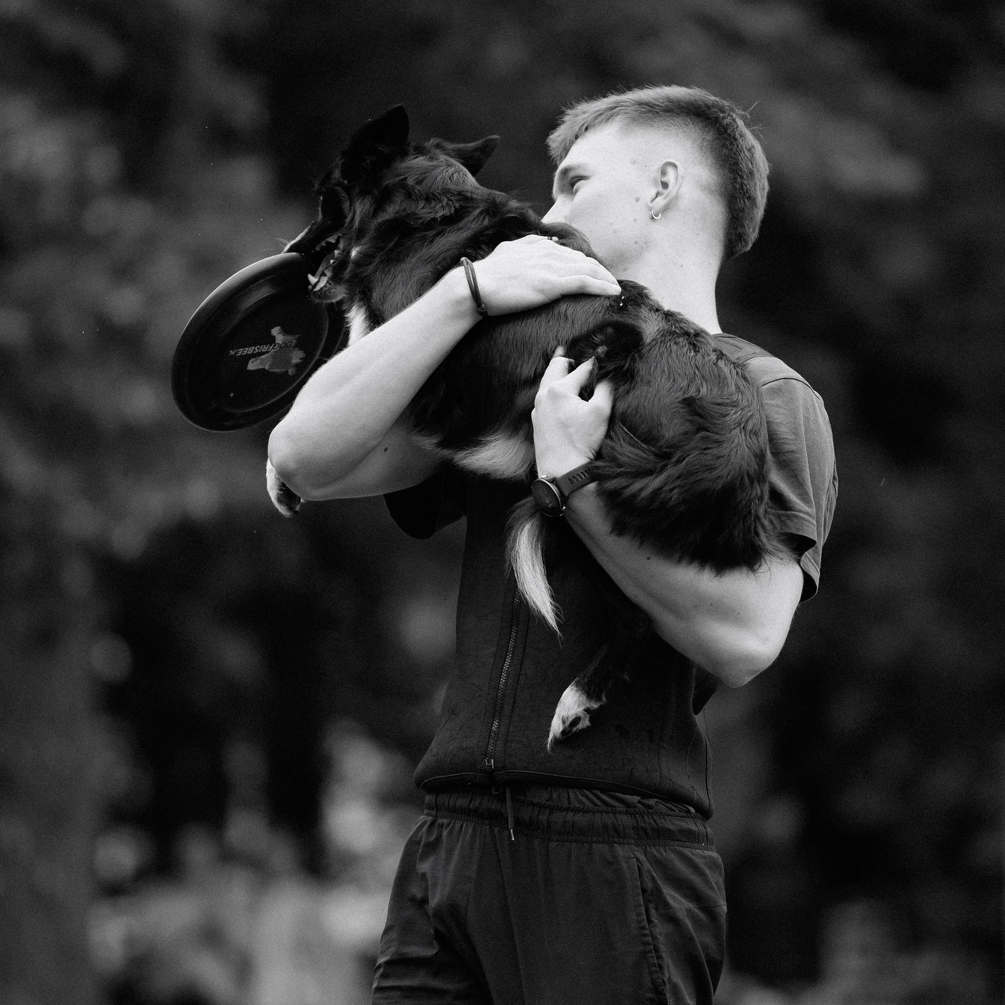 Latające psy, Wrocław'25. Kaja | fotograf psów we Wrocławiu