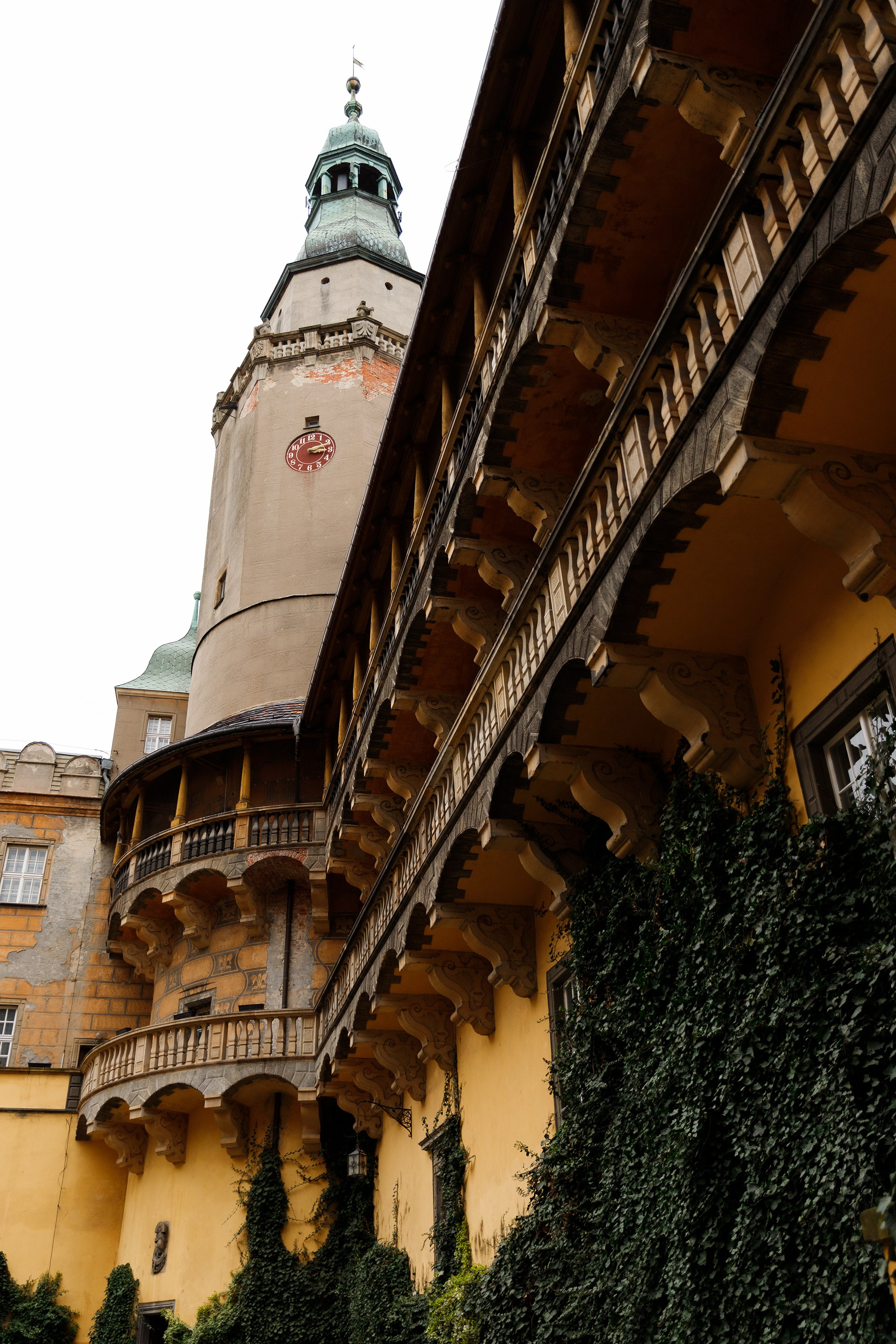 Oleśnica castle. Kaja | fotograf psów we Wrocławiu