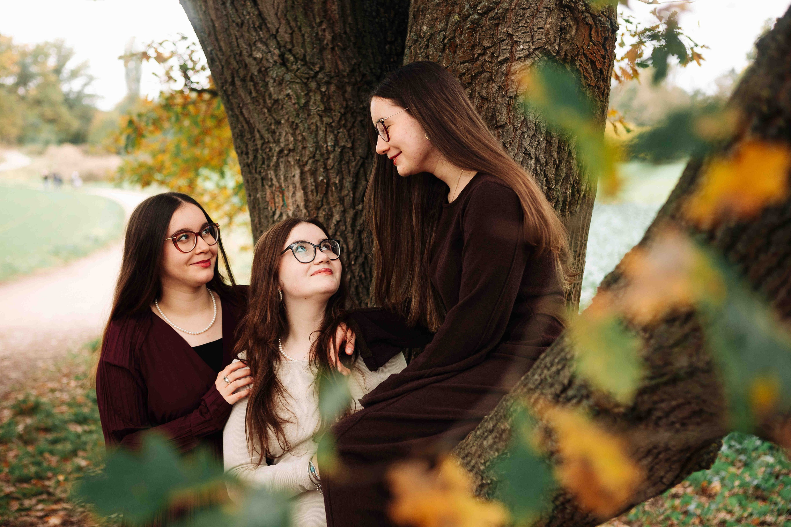 BIG OAK, BIG FAMILY. Https://shi-photo.com/