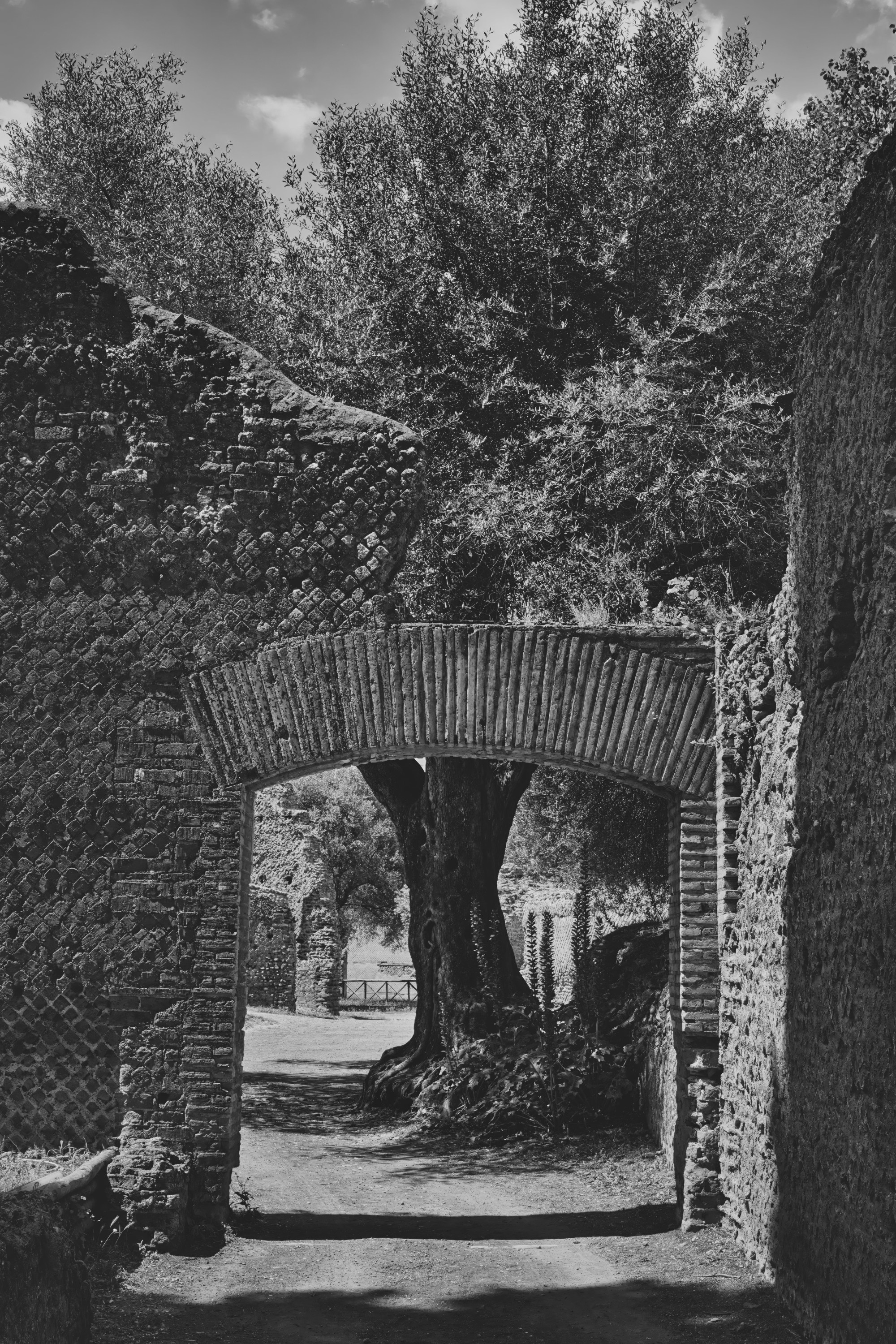 Rome Italy - Hadrian's Villa Small Thermae arch - Eduardo Bartoli Fine Art Photography - Fine art photograph of the small Thermae arch at Hadrian's Villa, Rome, Italy – B&W photograph by Eduardo Bartoli.