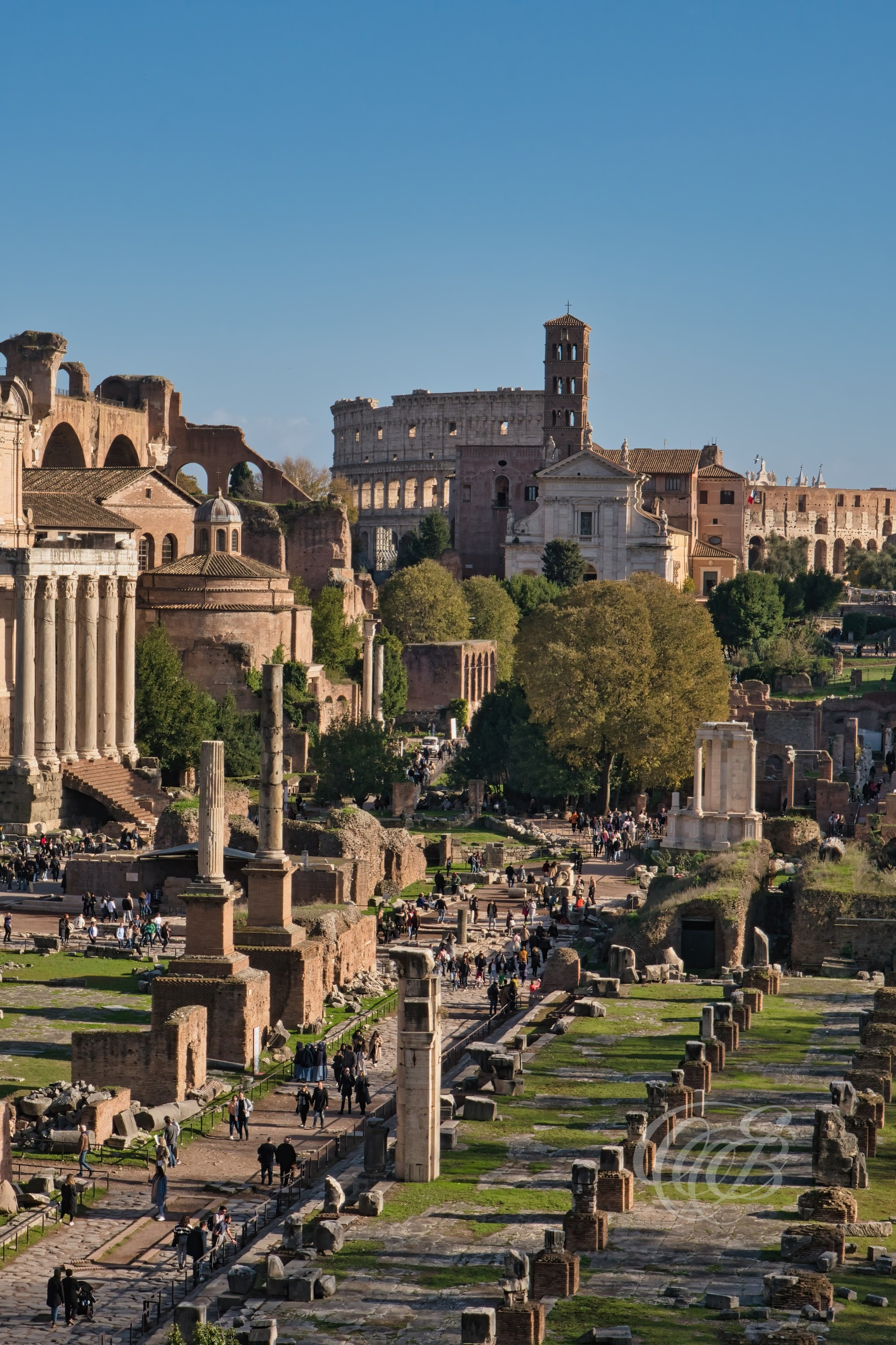 Rome Italy — The Roman Forum in the afternoon — Eduardo Bartoli Fine Art Photography — Photograph of the Roman Forum archaeological site in the afternoon light in Rome, Italy — photography by Eduardo Bartoli.