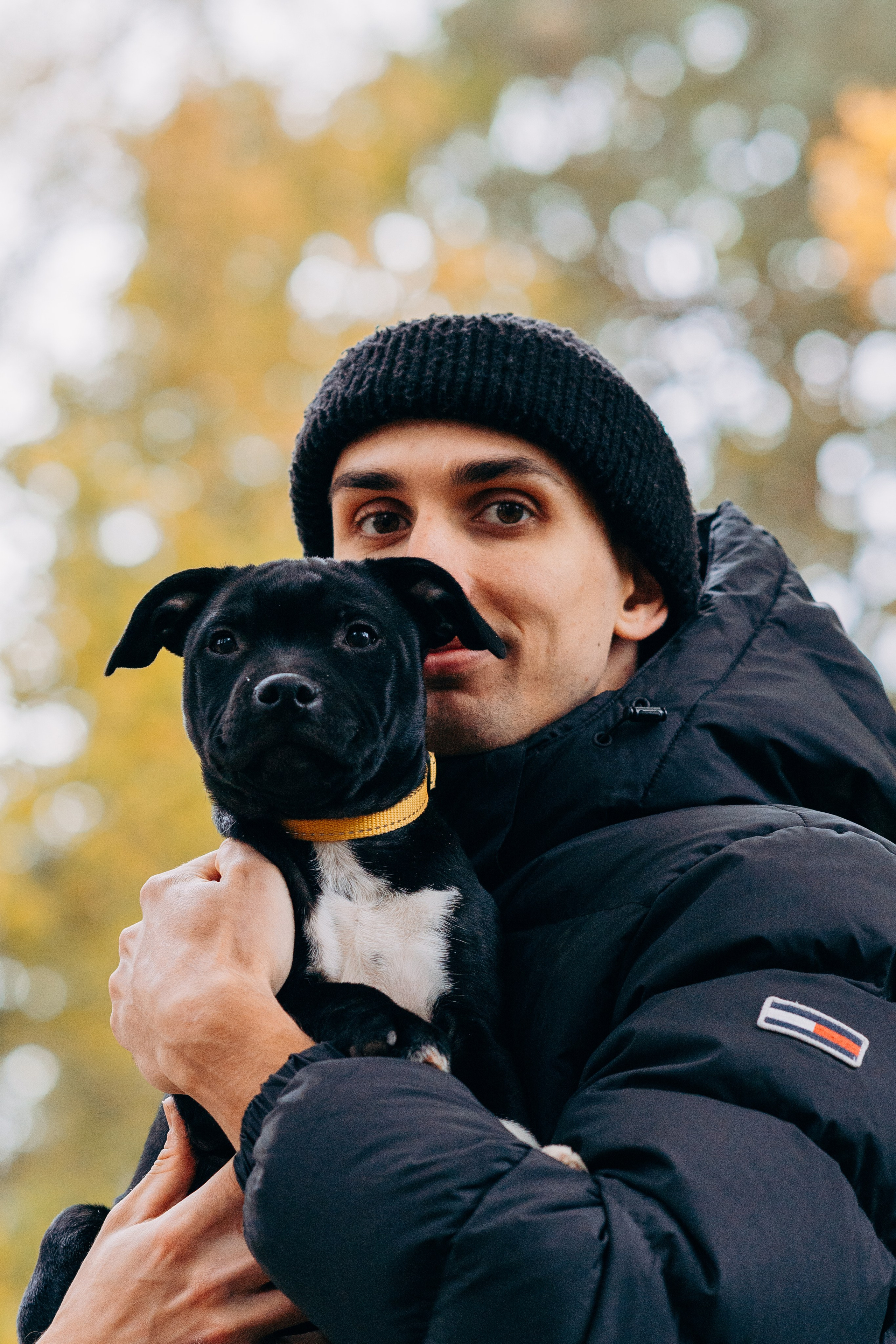 Staffordshire Bull Terriers Meetup. Kat Laisaar — Pet photographer in Tallinn