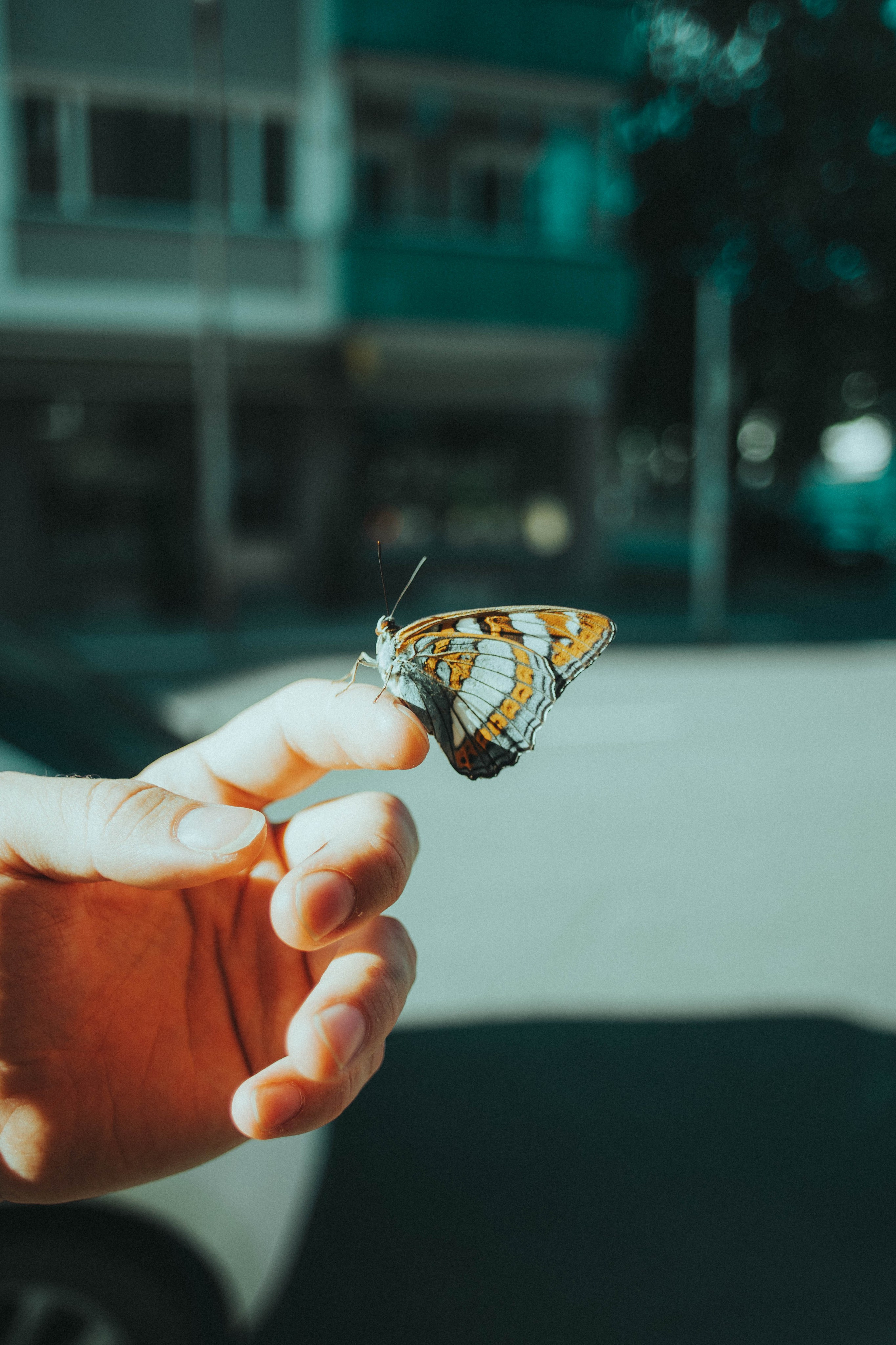 Streetphoto. VEKE MEDIA