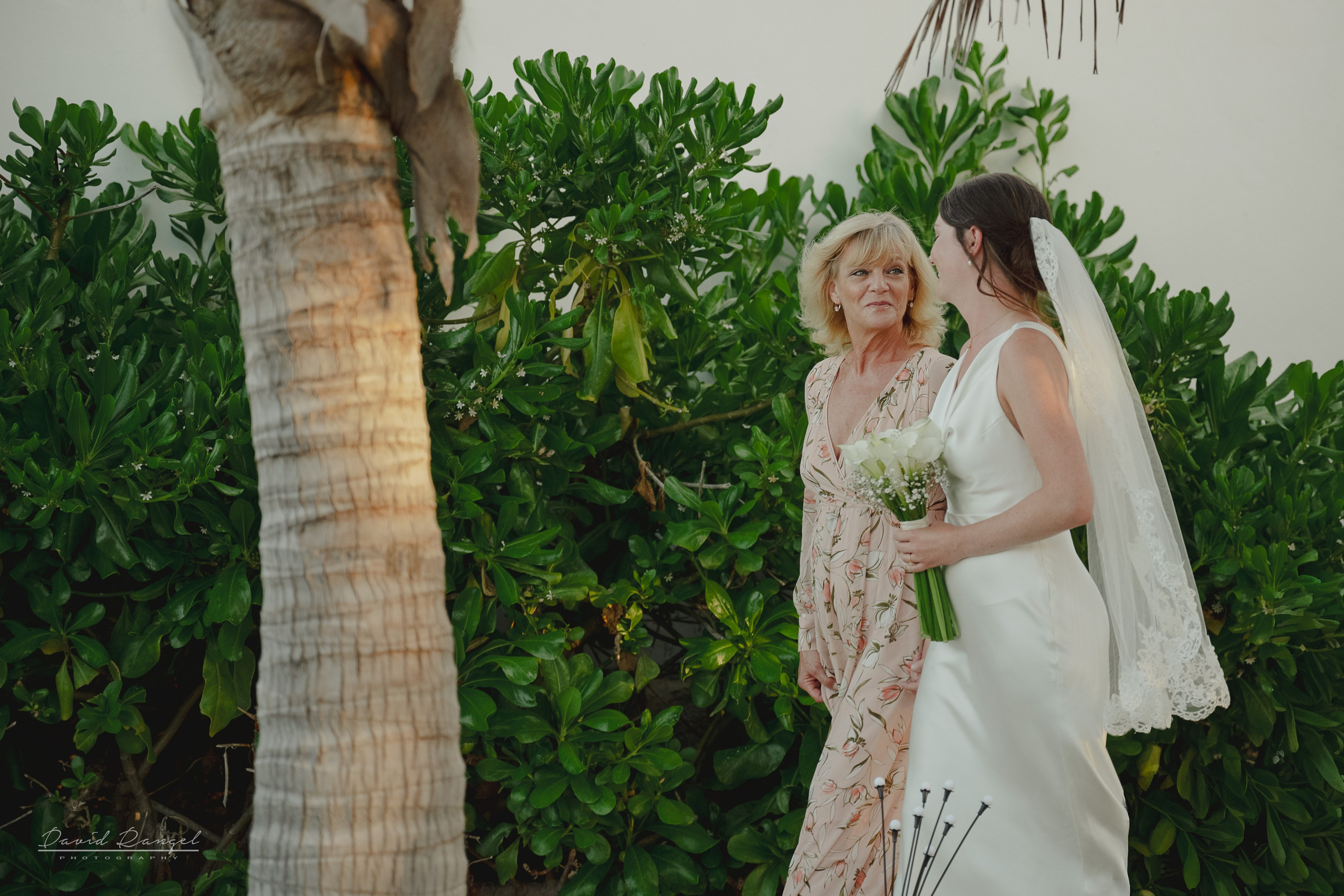Destination Wedding on Isla Mujeres