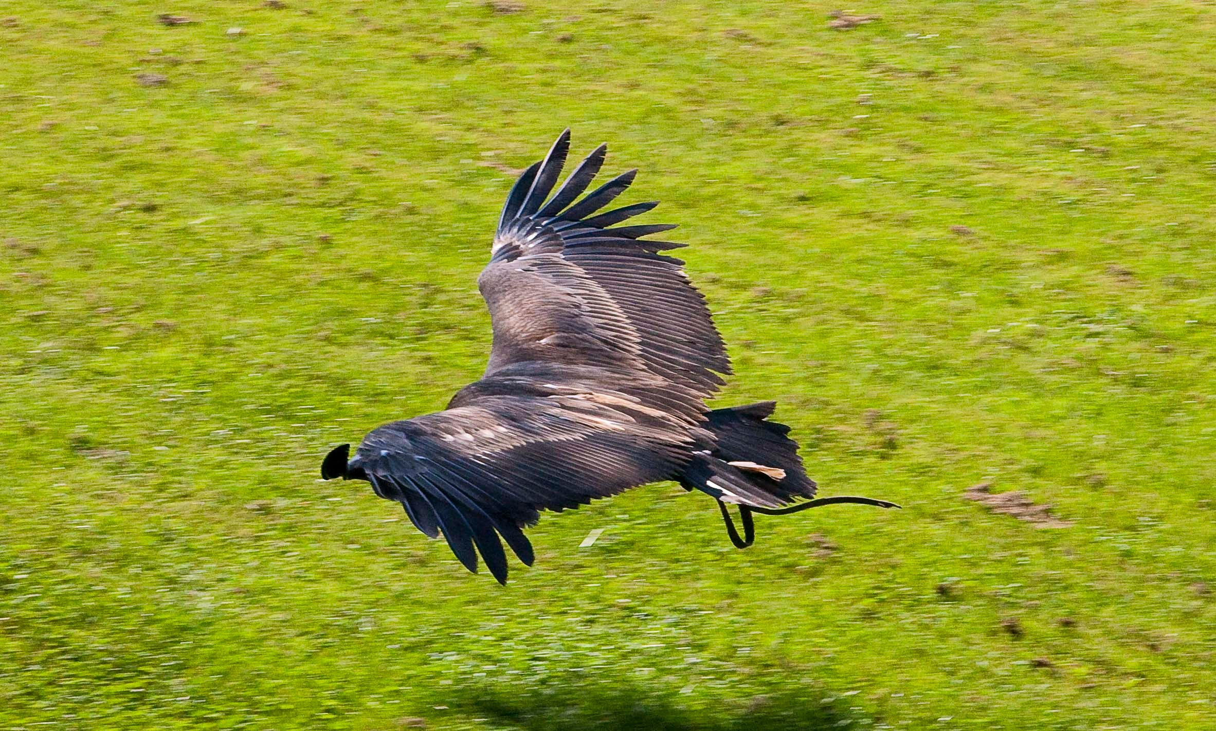 Wildpark Tambach. FOTO KREATIV