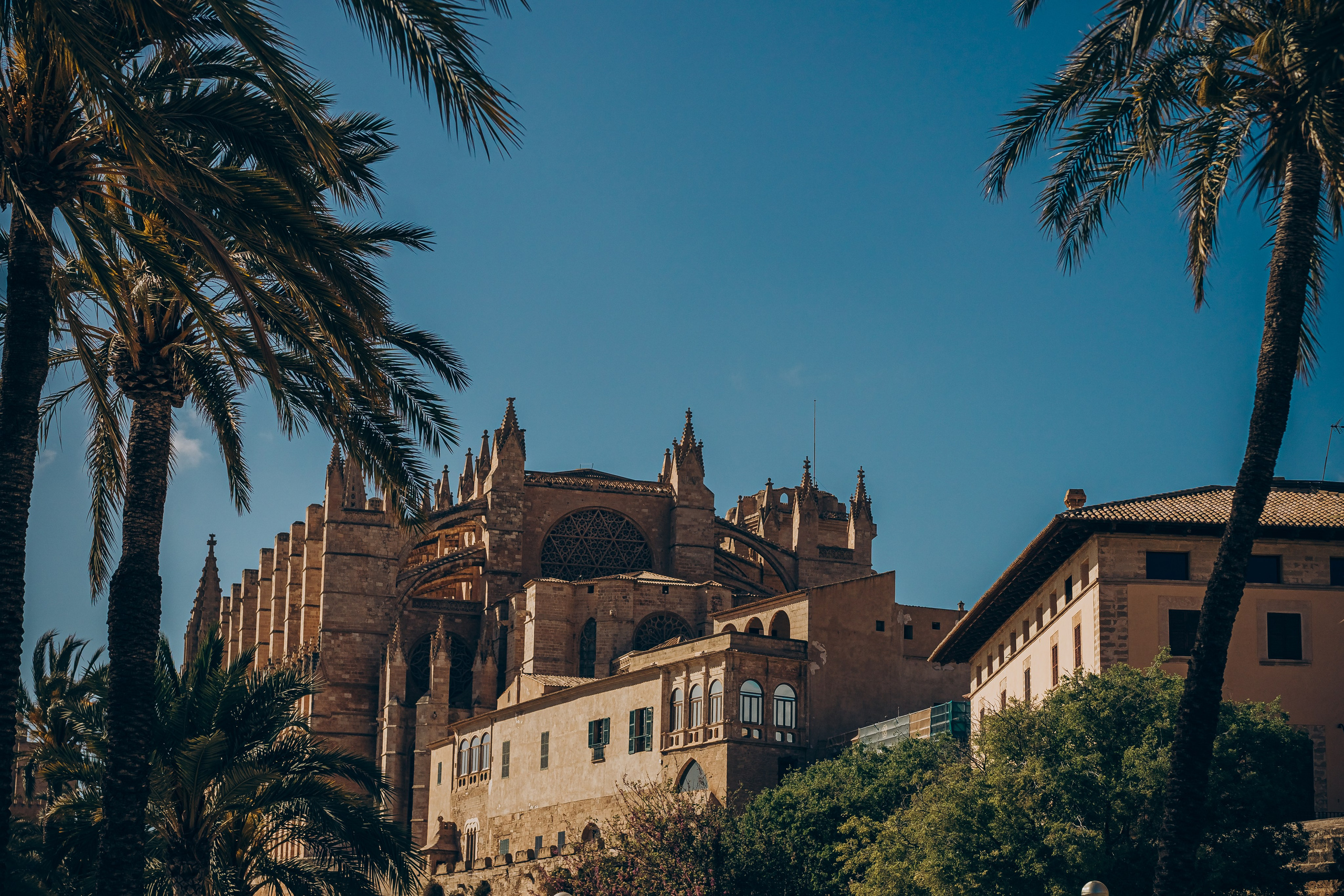 Love’s Promise. Фотограф у Пальма де Майорка