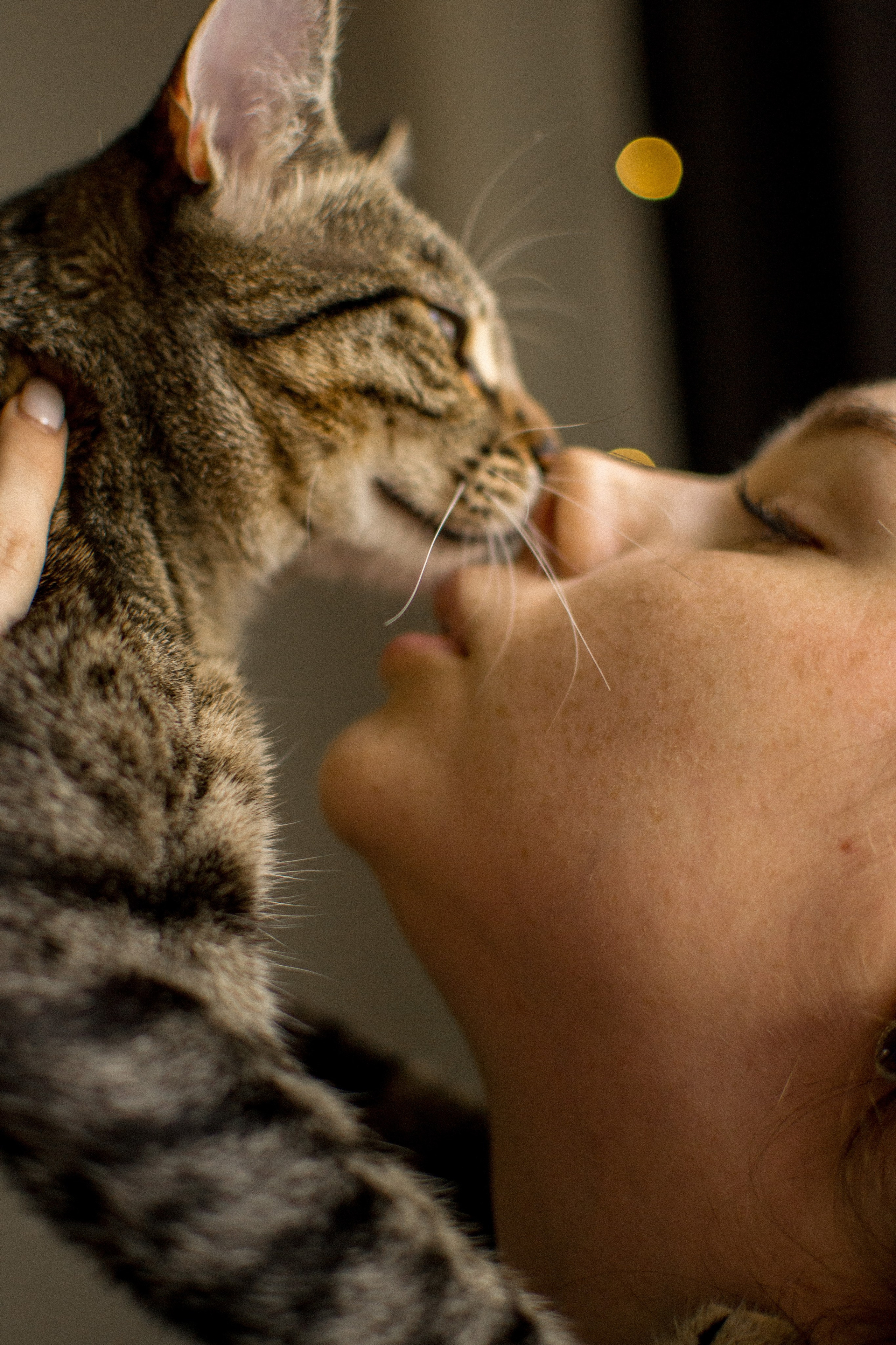 Victoria et Murka. Photographe animalier à Paris Anna Pereira