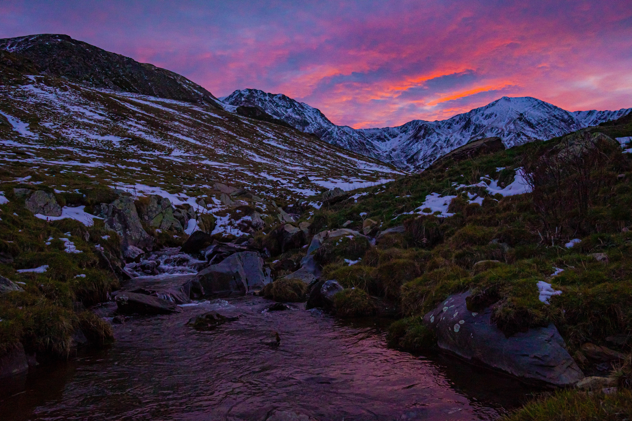 Filia. Alba del Norte Studio