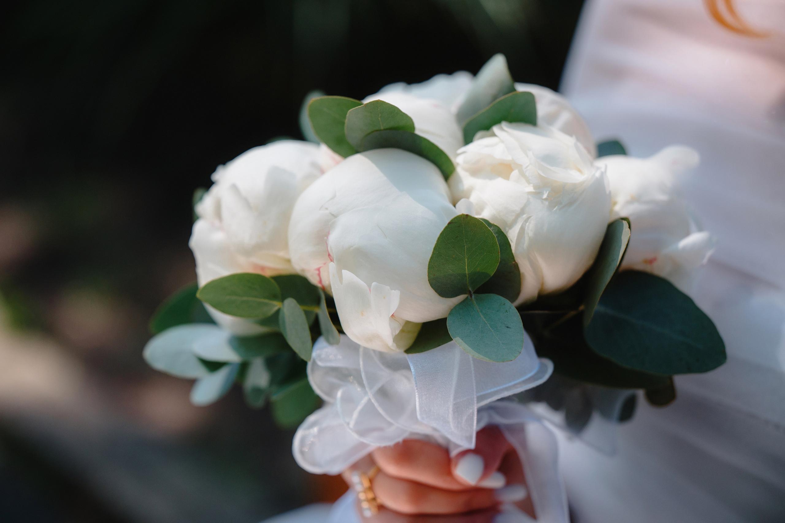 Ceremonie Civila Andreea si Claudiu. Laurentiu Stefan StoryTeller